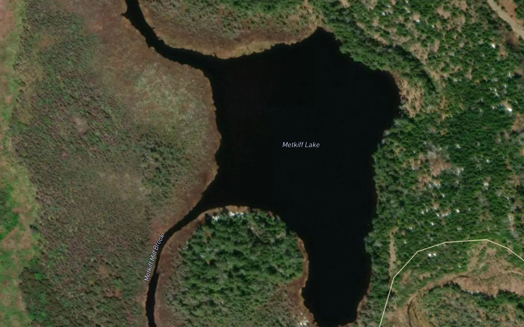Satellite map of the Metkiff Lake