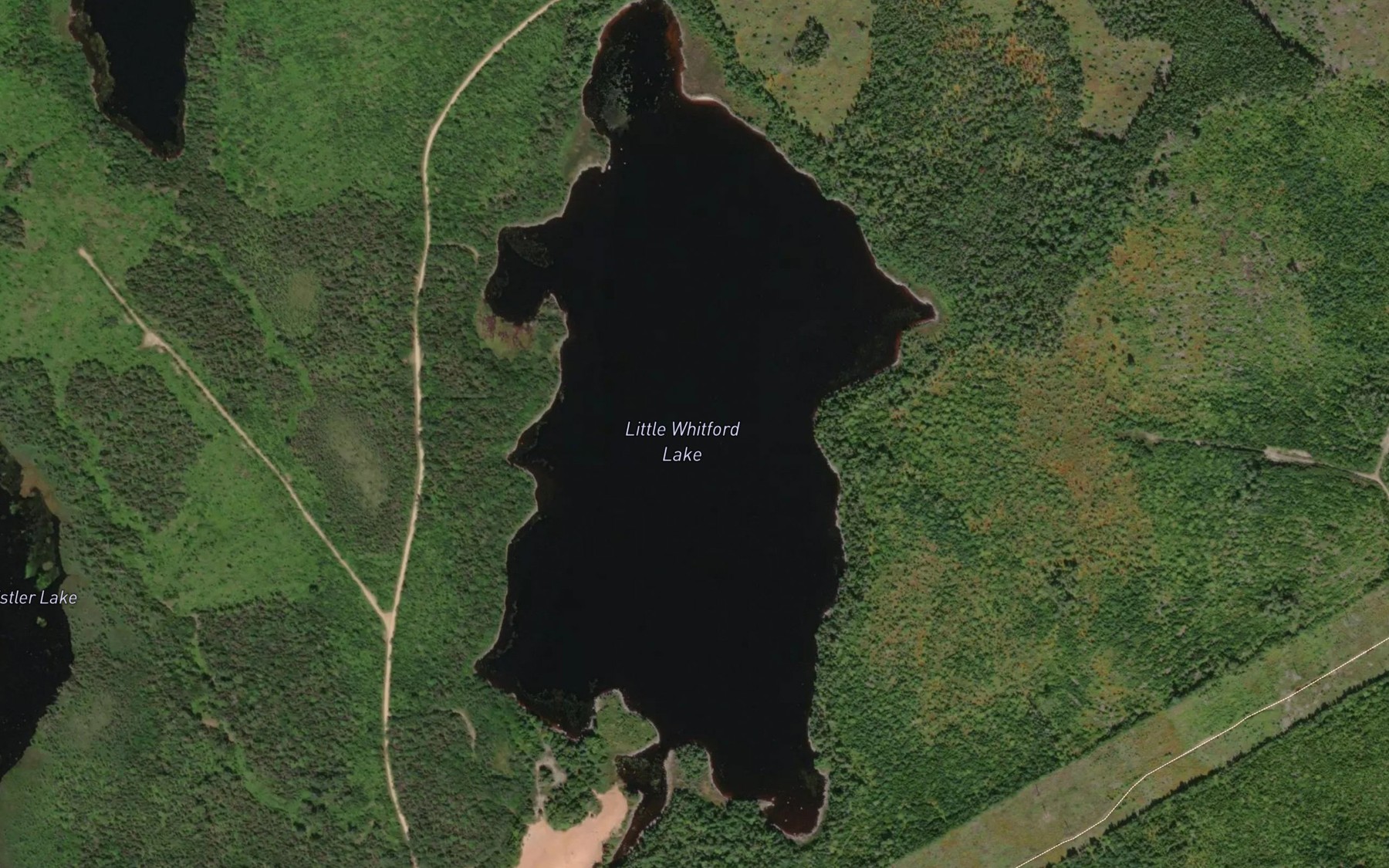 Satellite map of the Little Whitford Lake