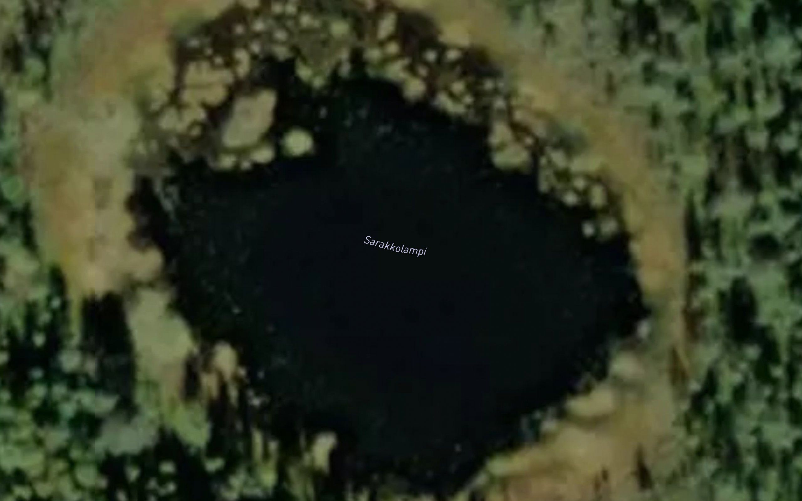 Sarakkolampi