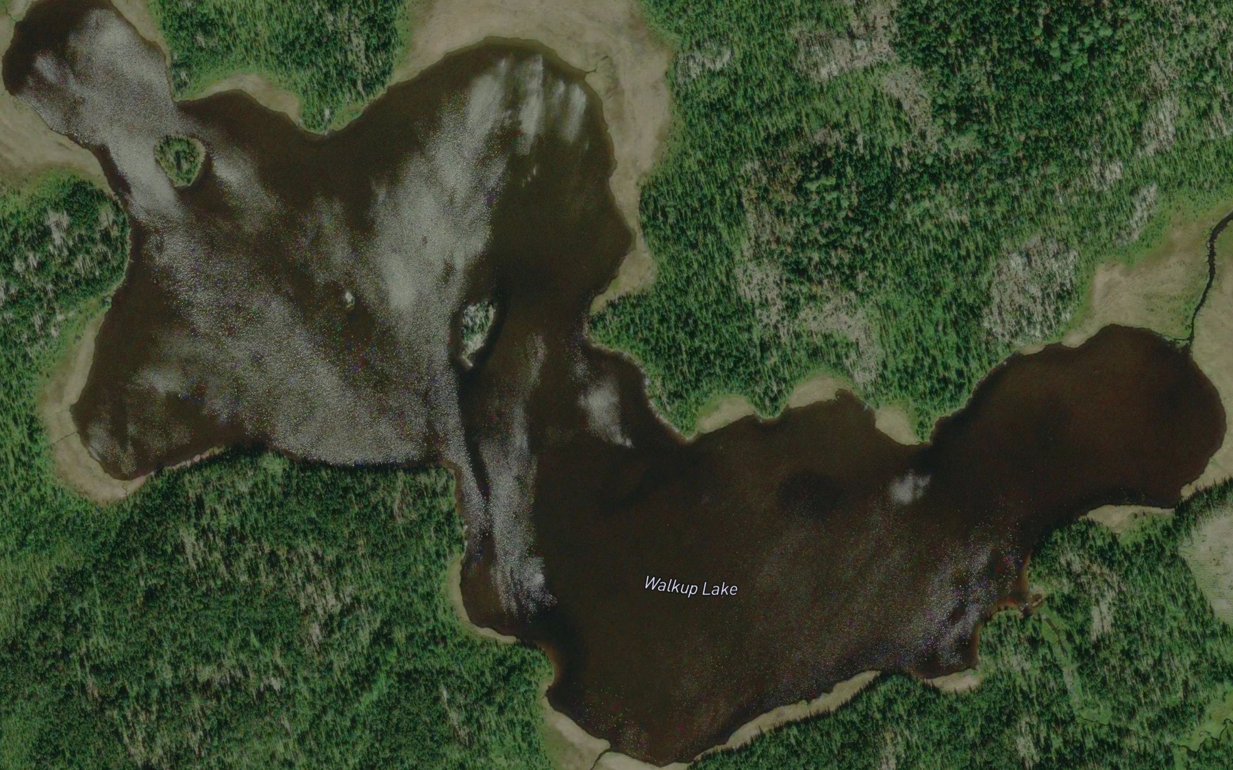 Satellite map of the Walkup Lake