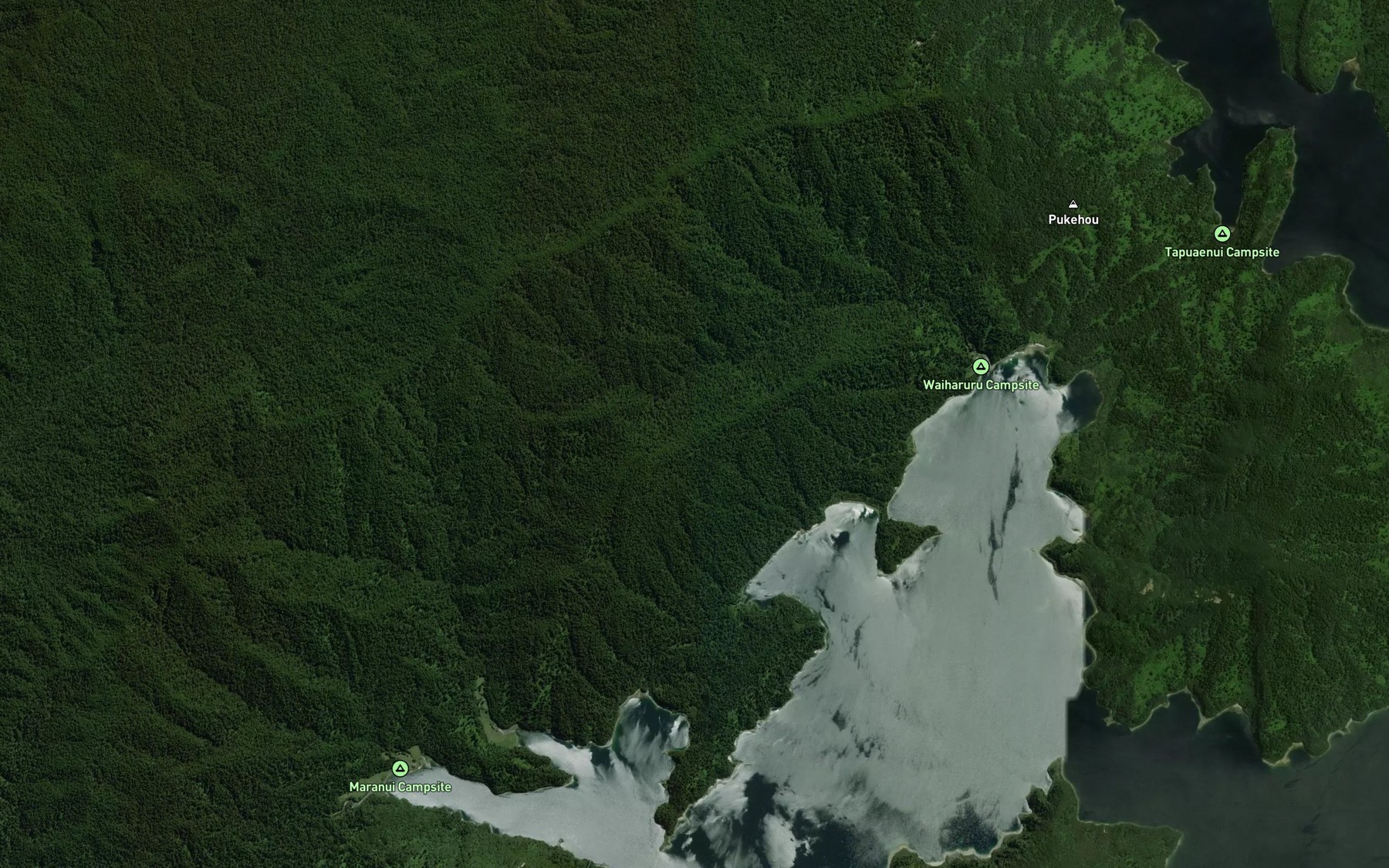 Satellite map of the Te Totara Bay