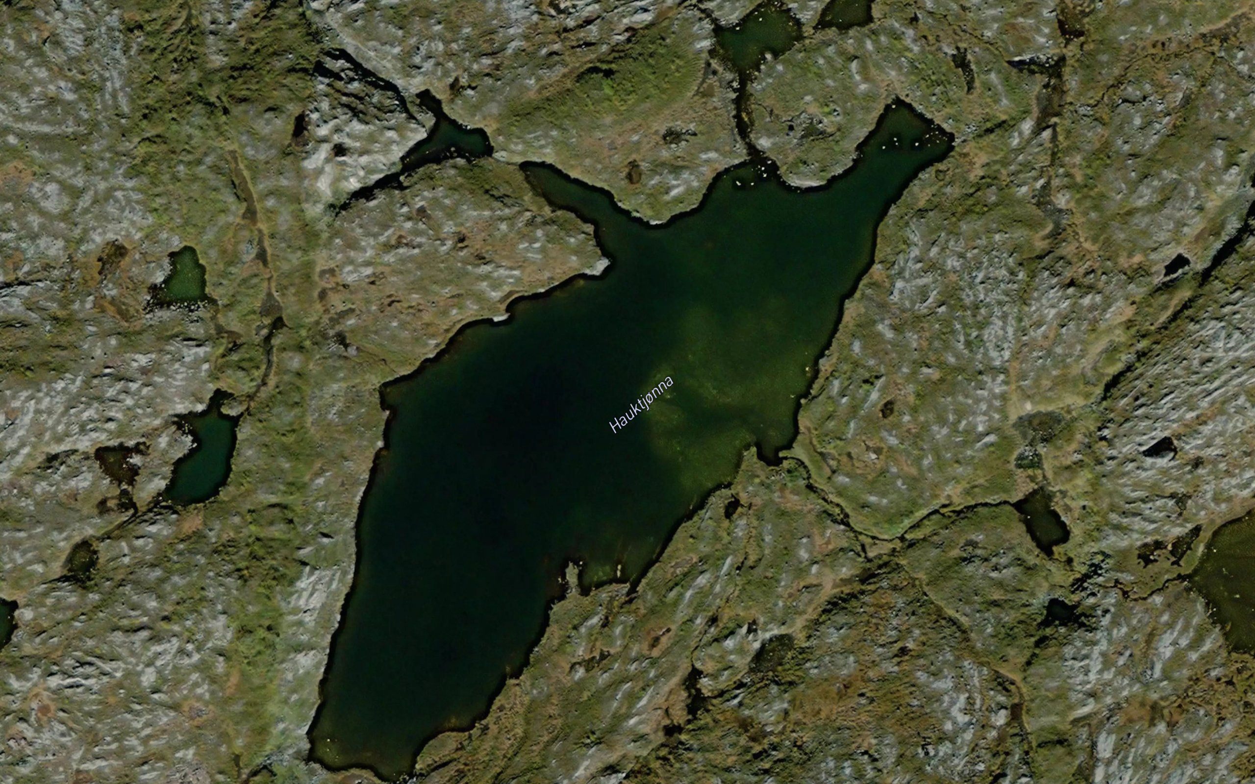 Hauktjonna