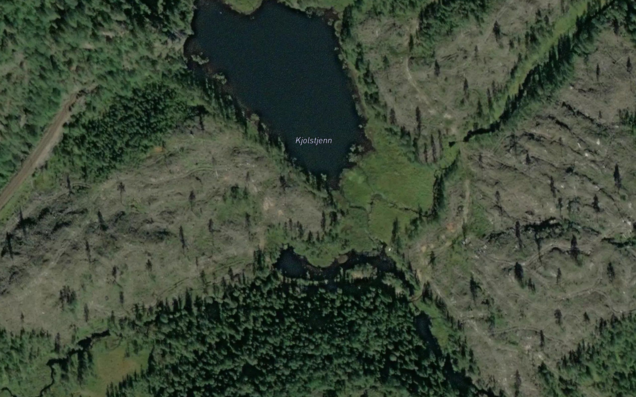 Kjolstjern