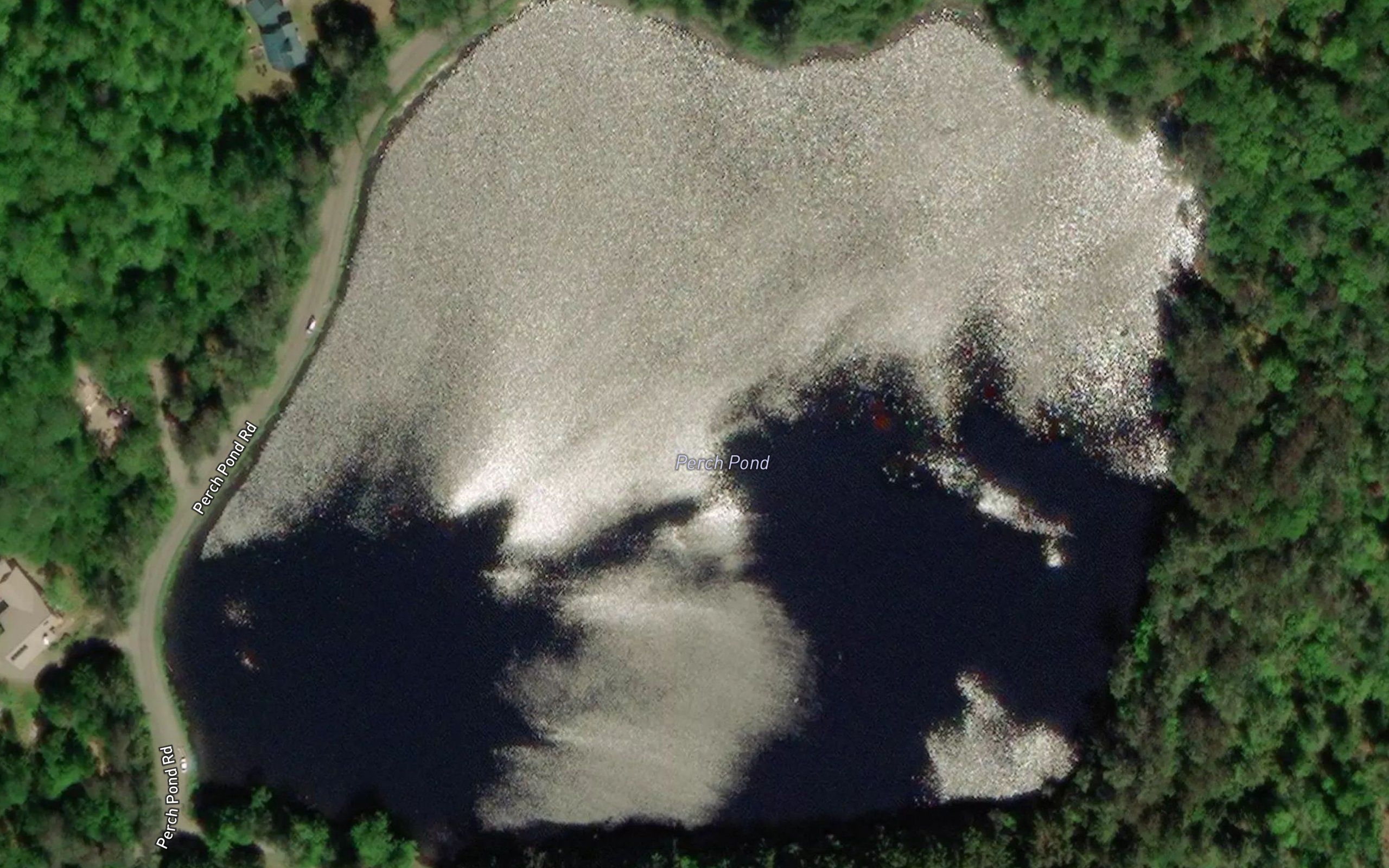 Perch Pond