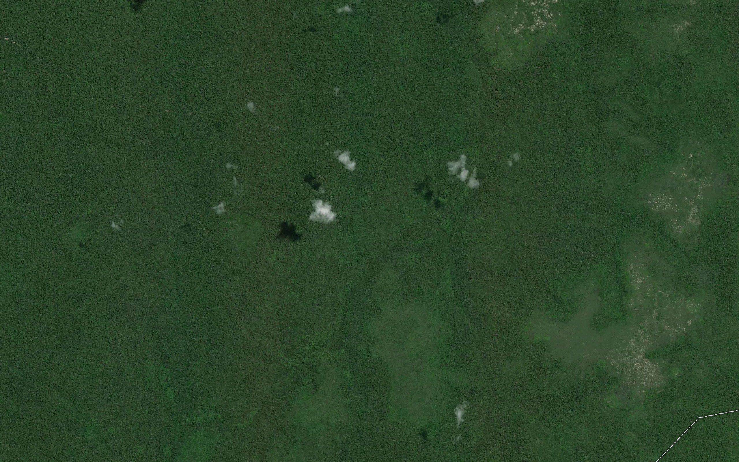 Wallaba Creek