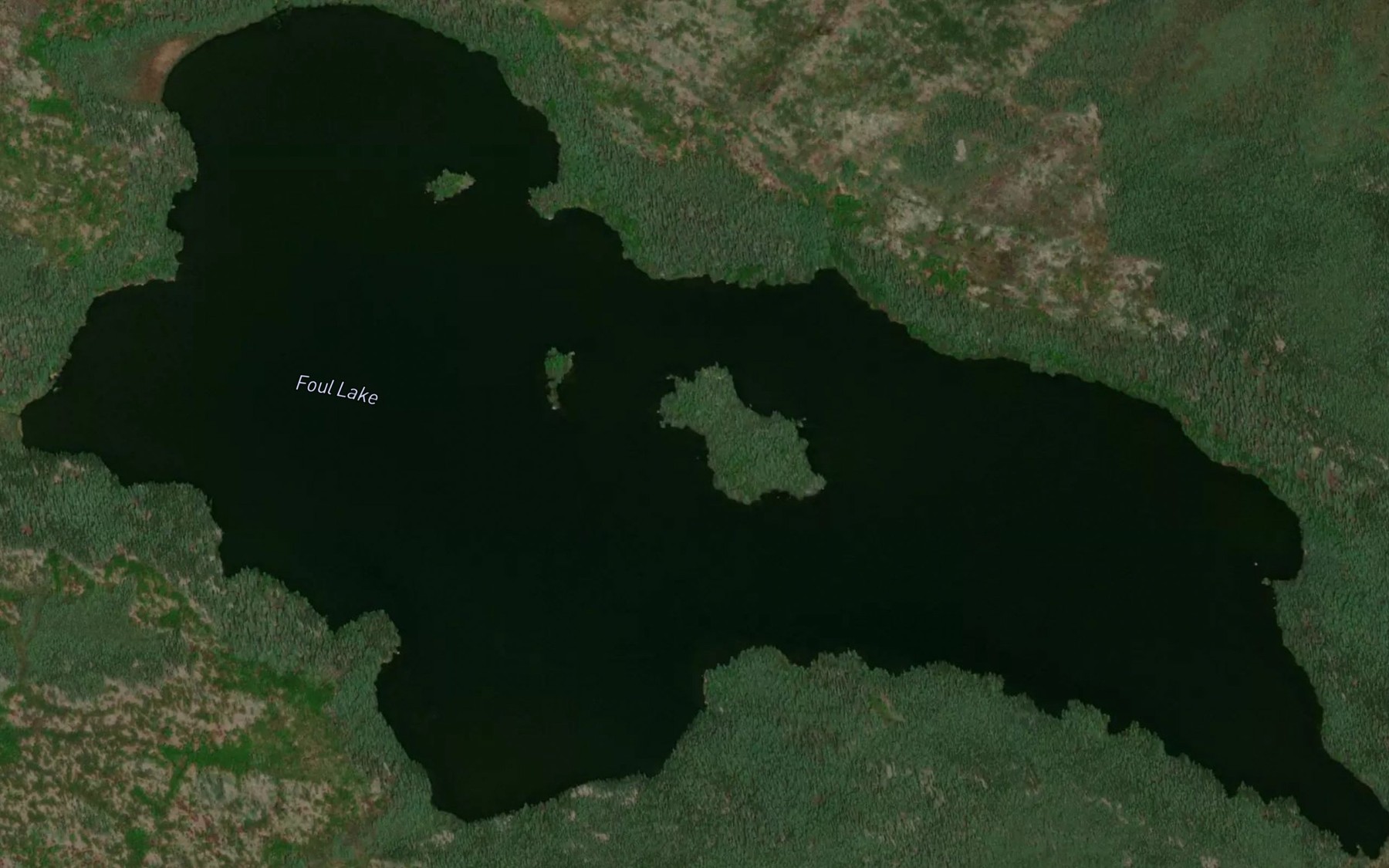 Satellite map of the Foul Lake