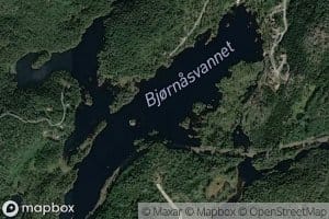 Bjornasvann