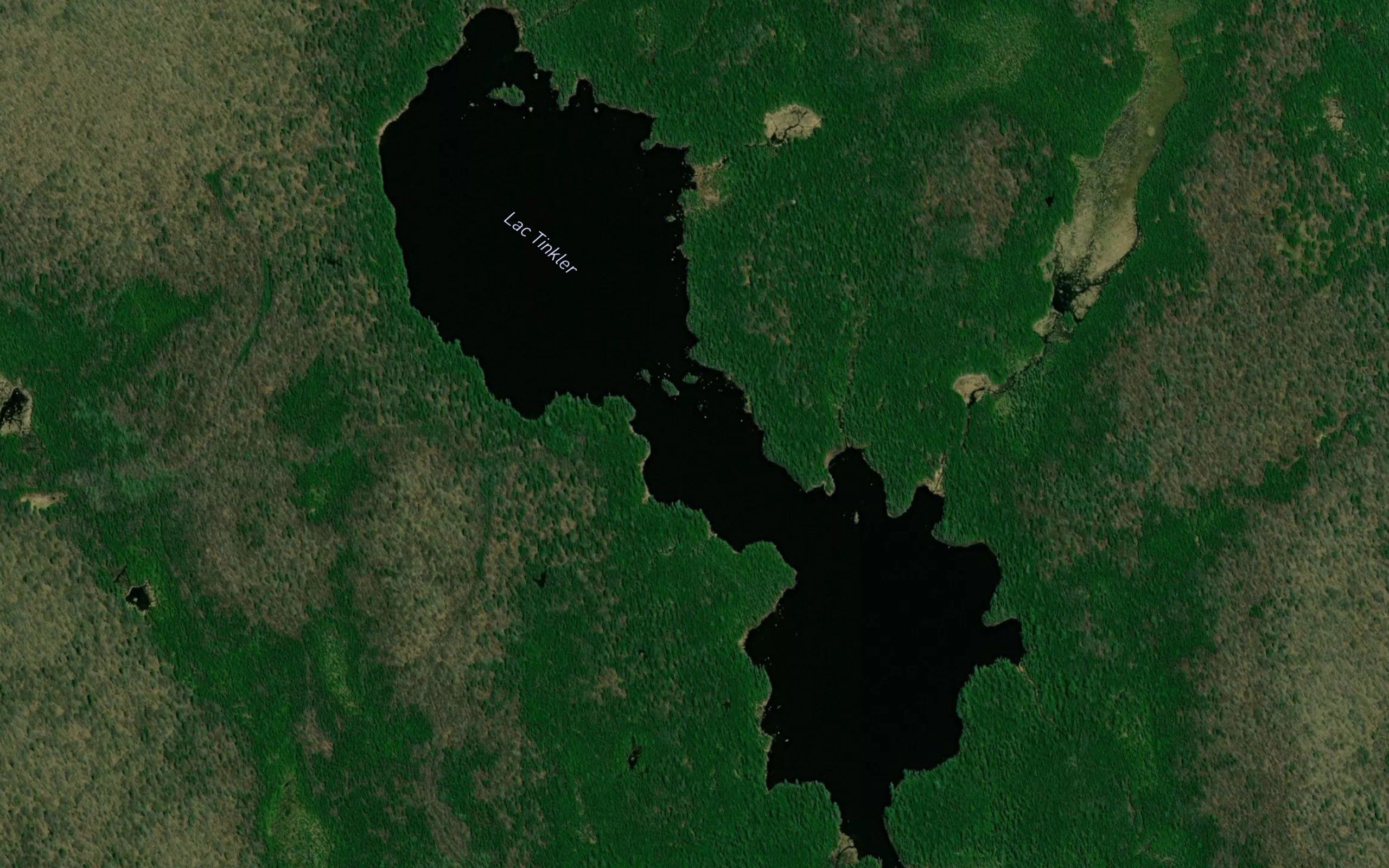 Lac Tinkler