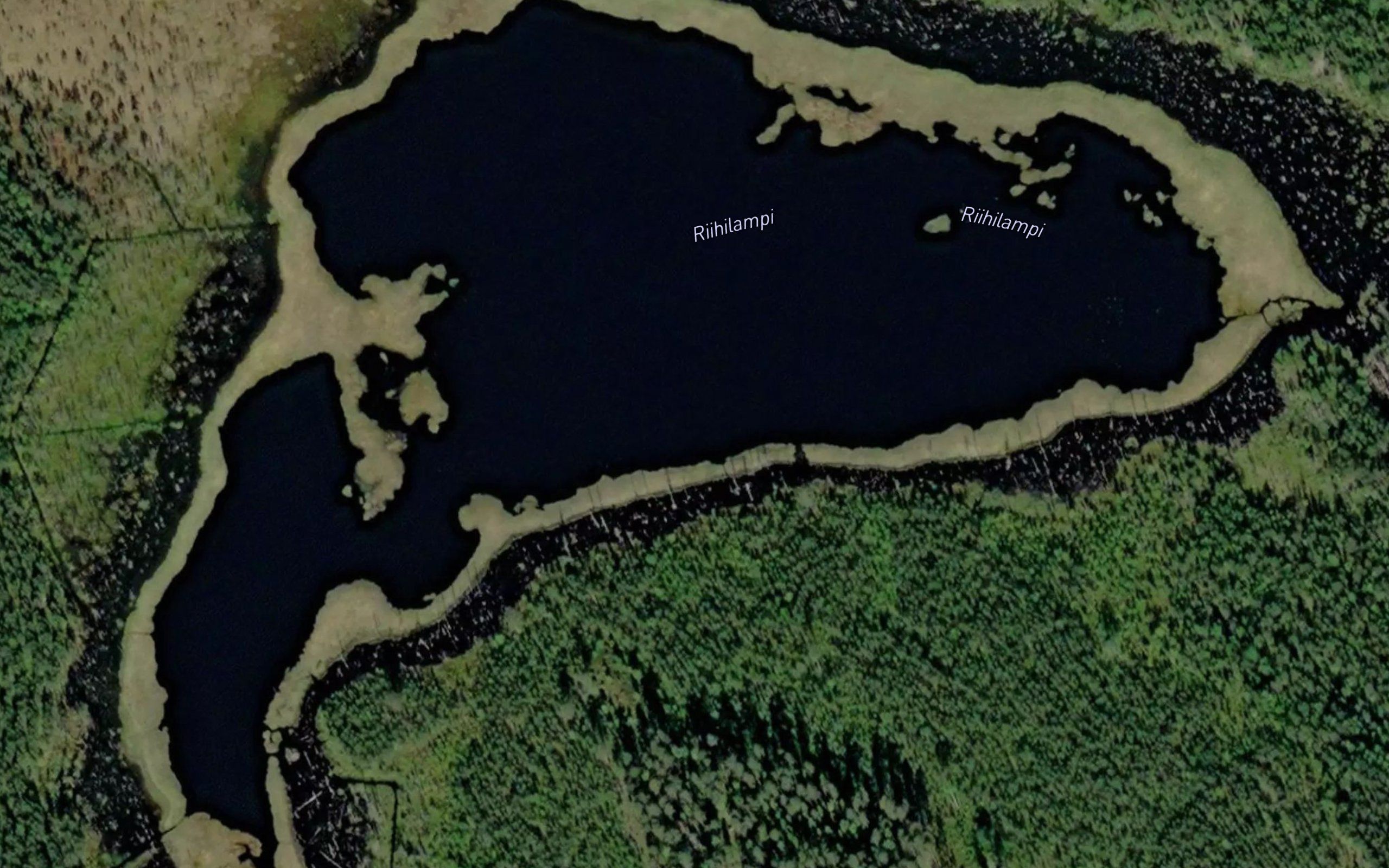 Riihilampi
