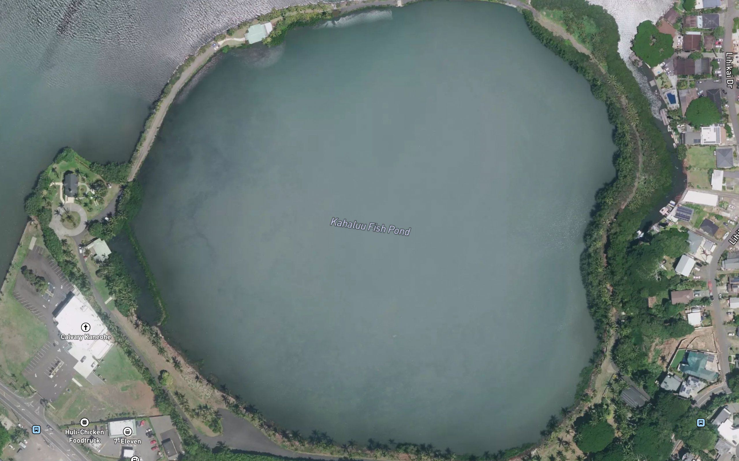 Kahalu'u Pond
