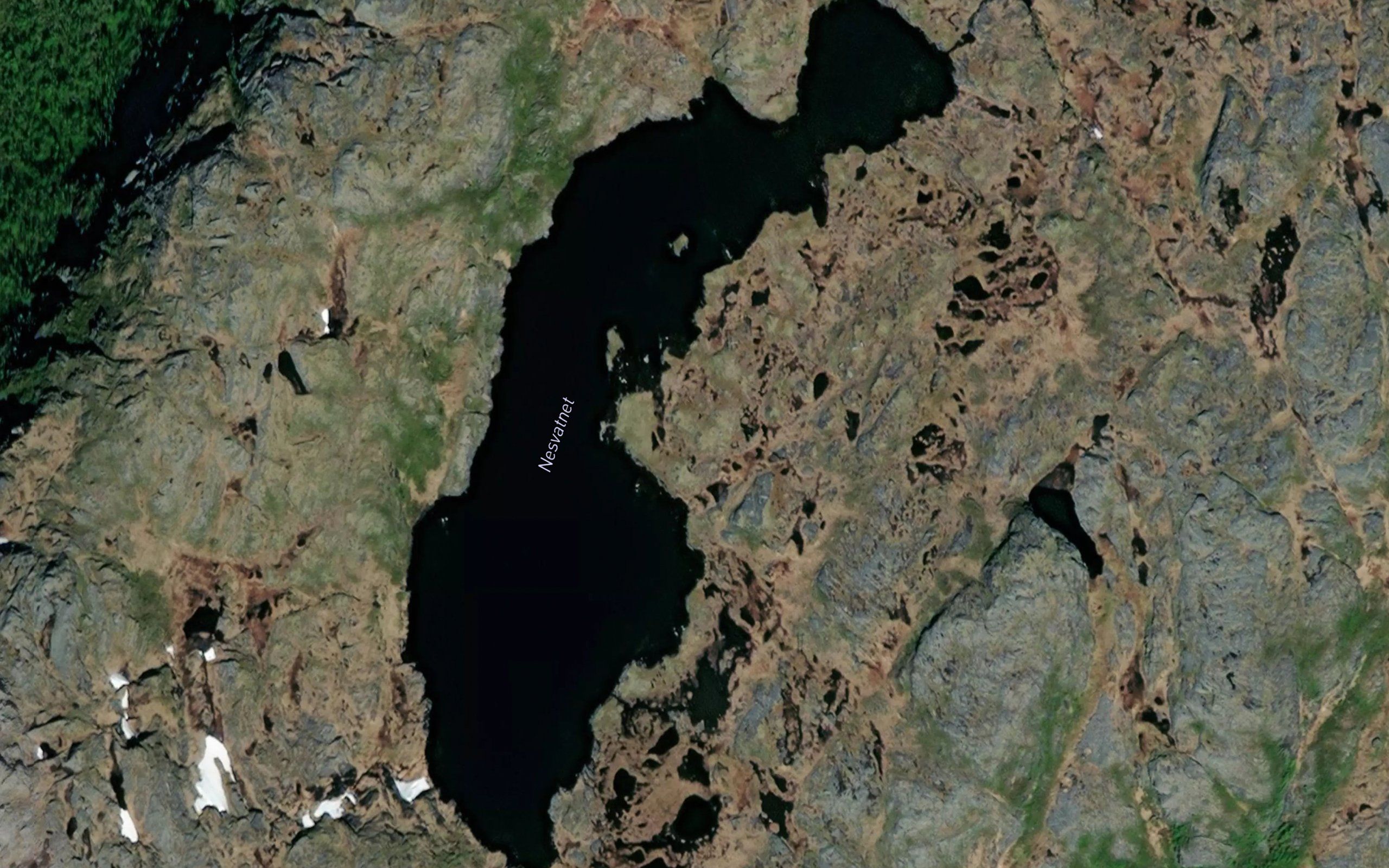Nesvatnet