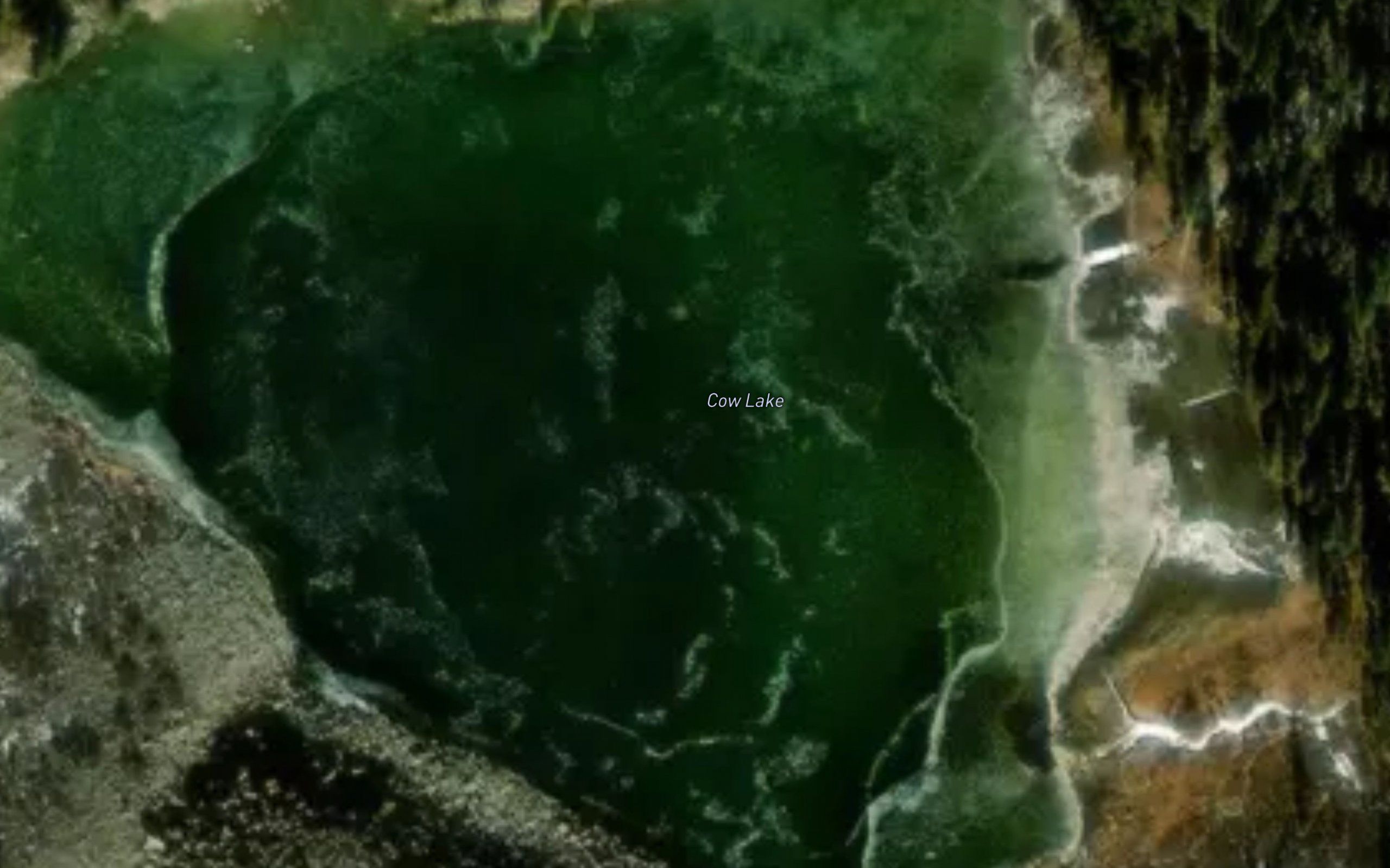 Cow Lake