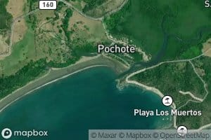 Estero Pochote