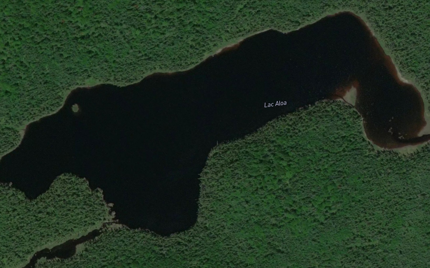 Satellite map of the Lac Aloa