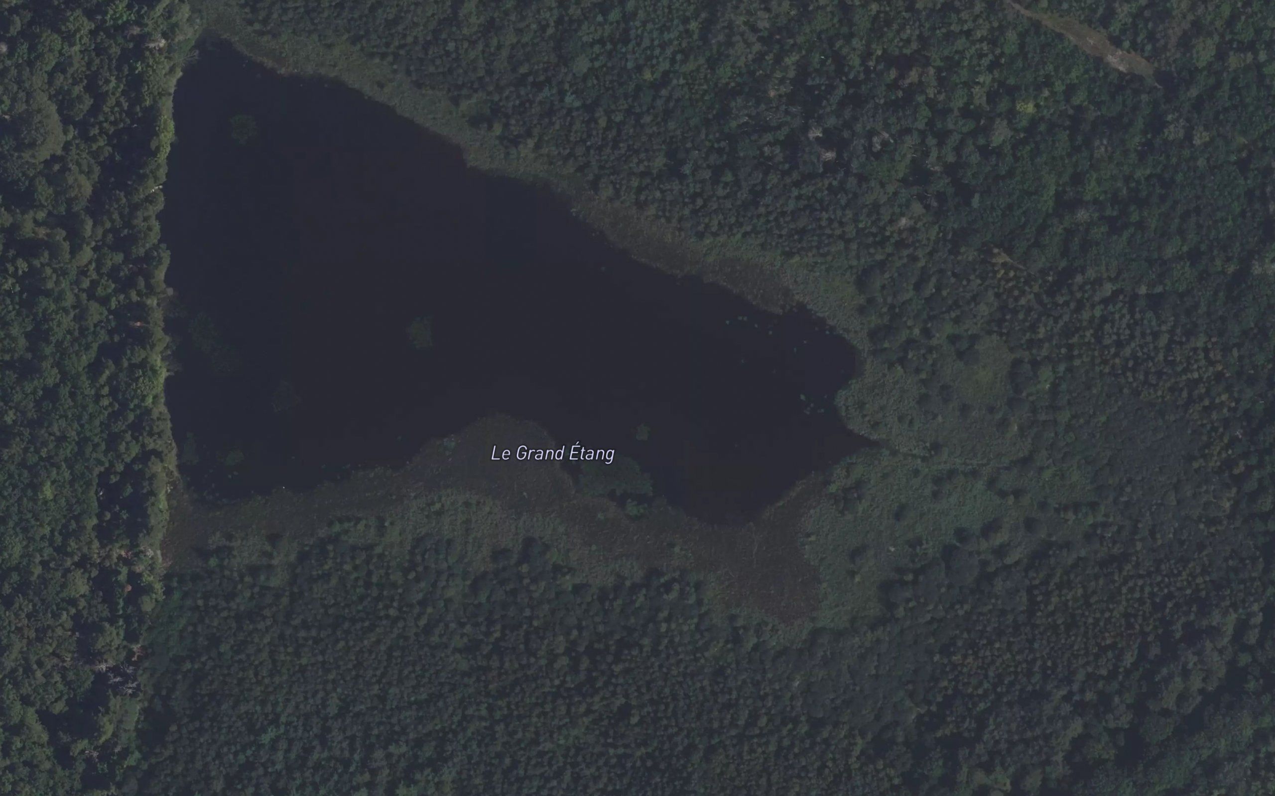 Le Grand Etang