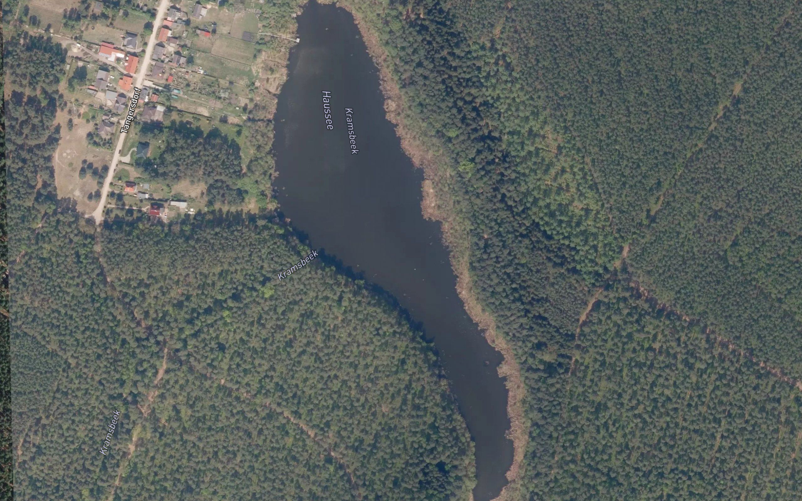 Haussee