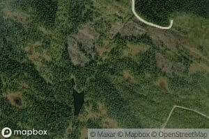 Svartholet