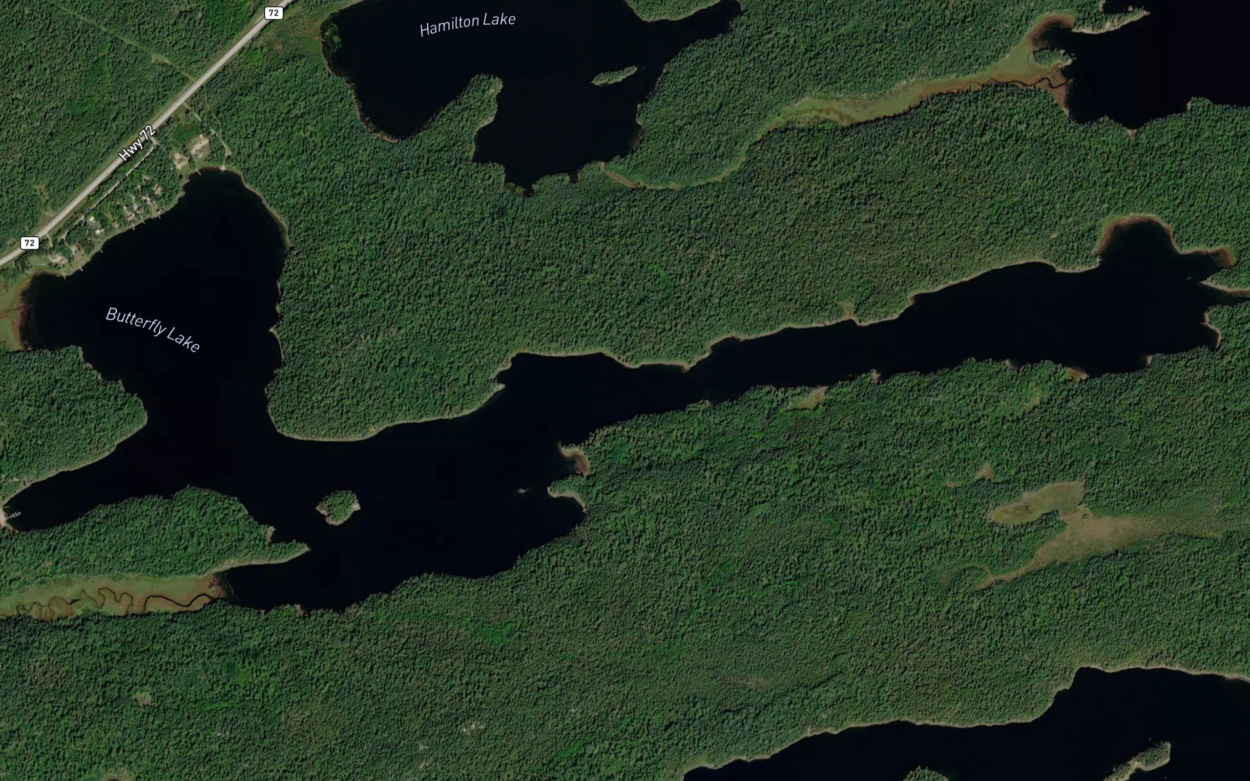 Butterfly Lake