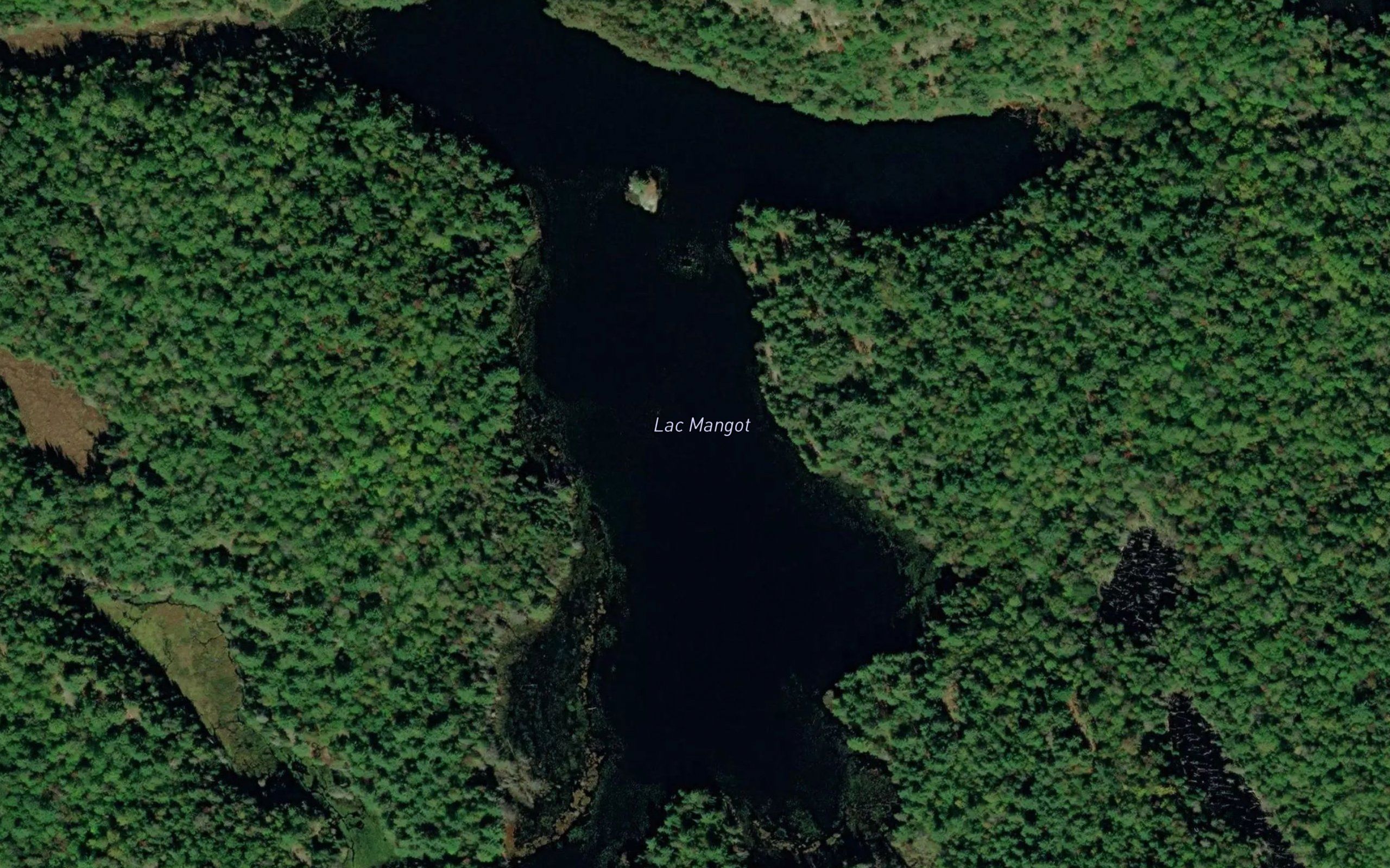 Lac Mangot