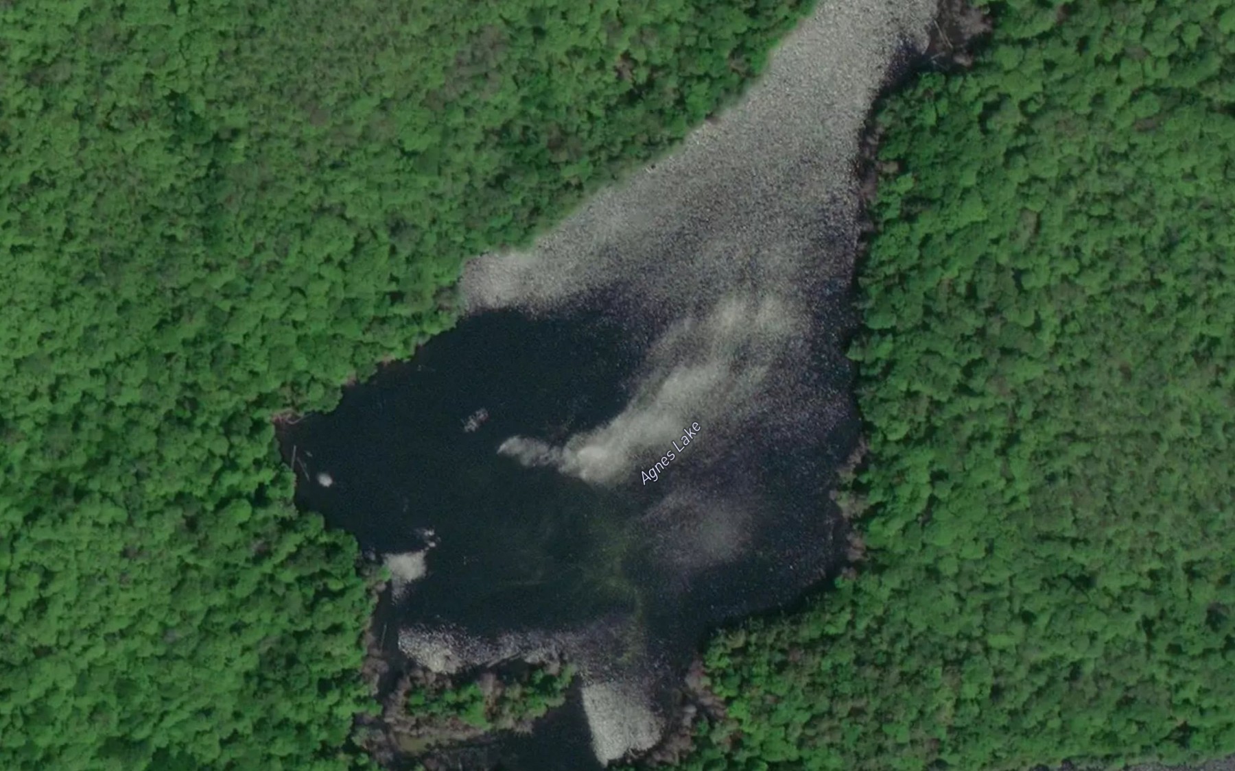 Satellite map of the Agnes Lake