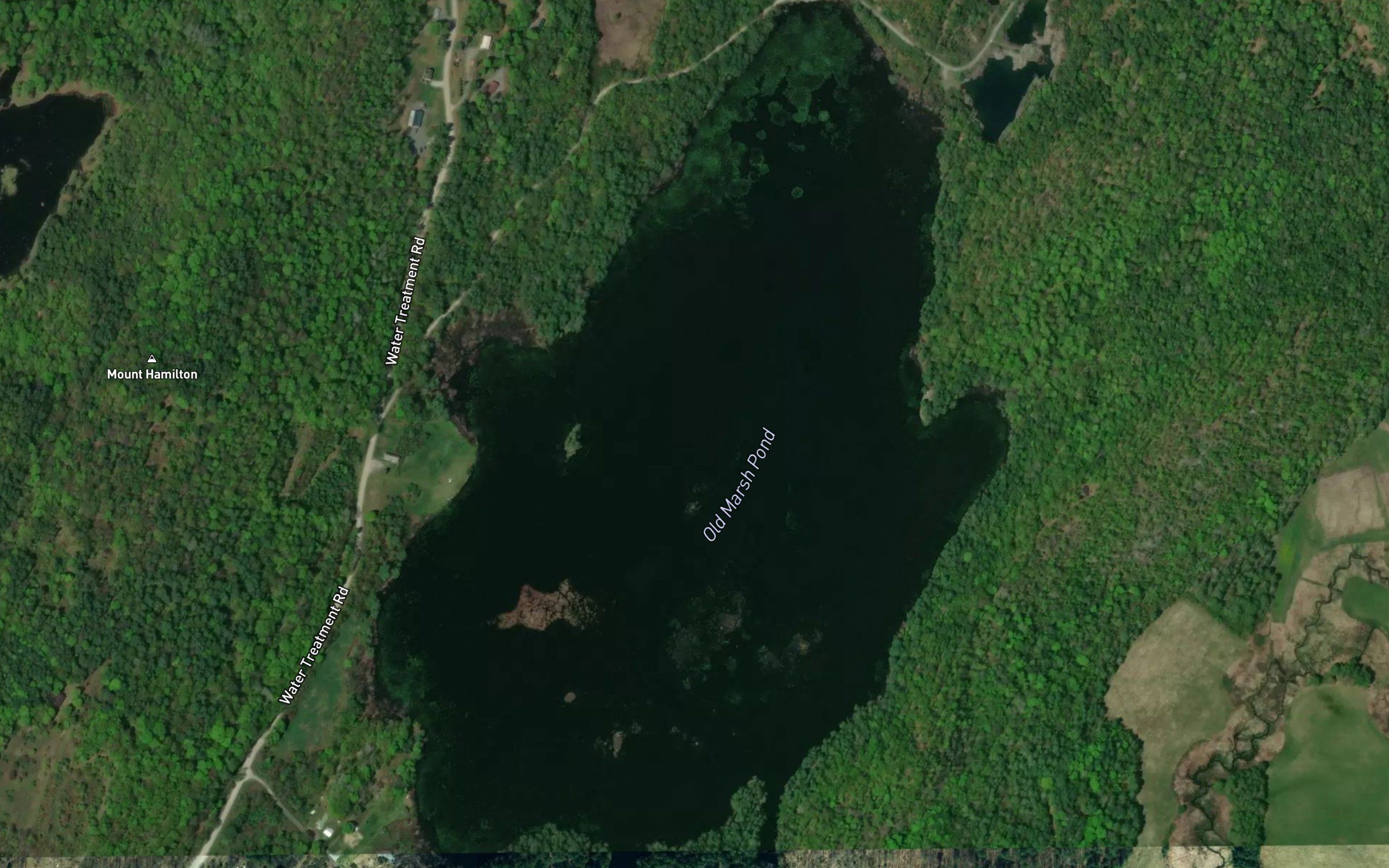 Old Marsh Pond