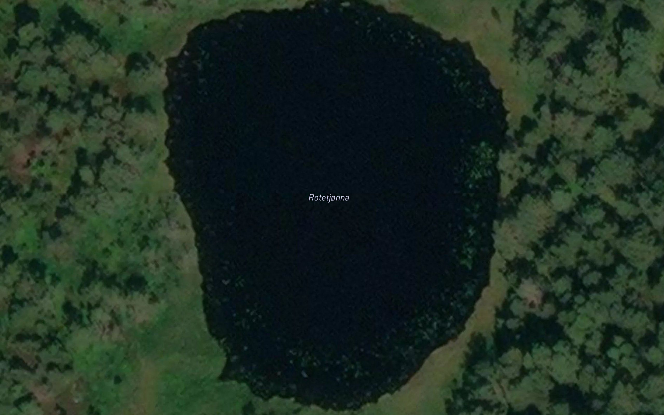 Rotetjonna