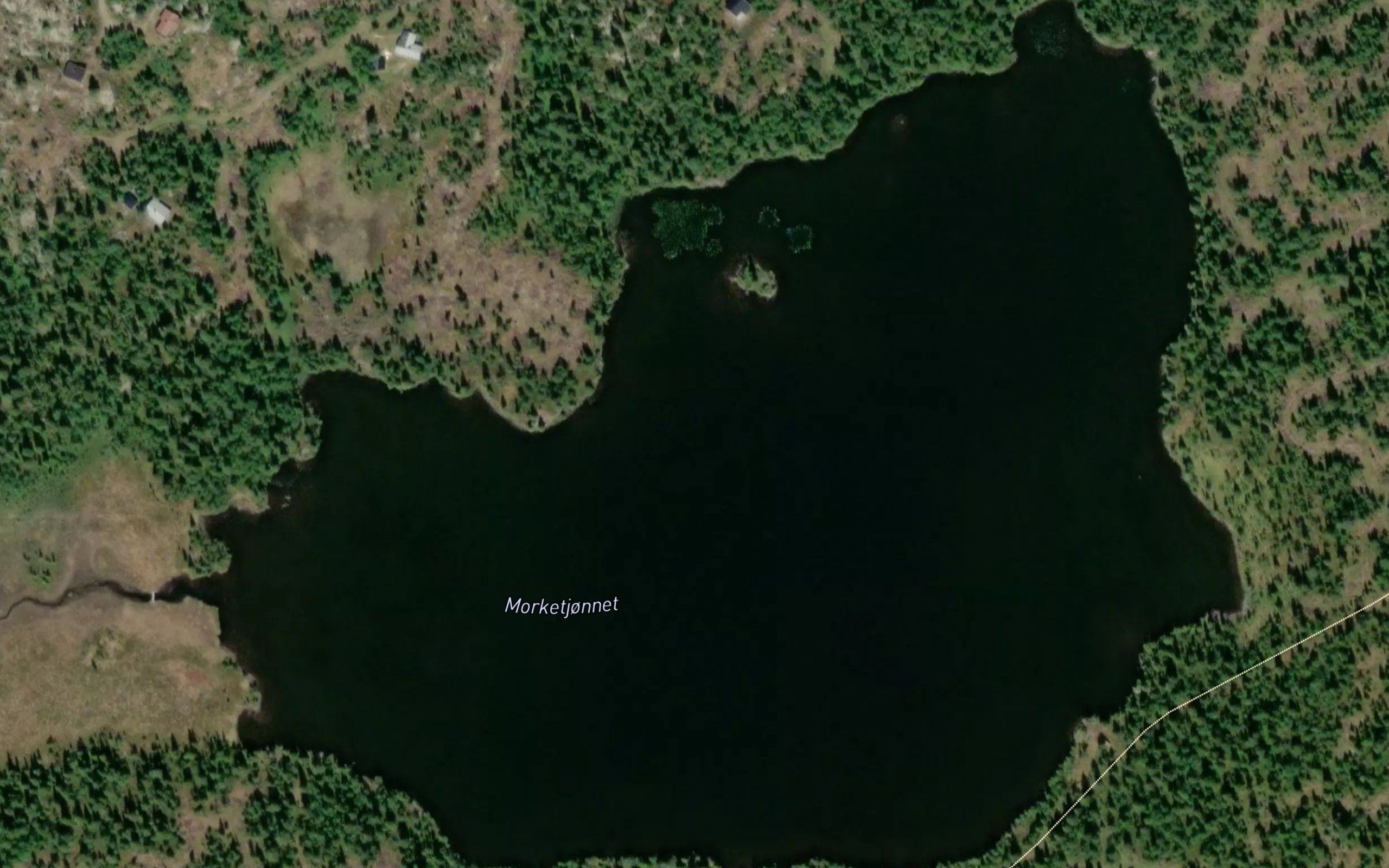 Morktjornet
