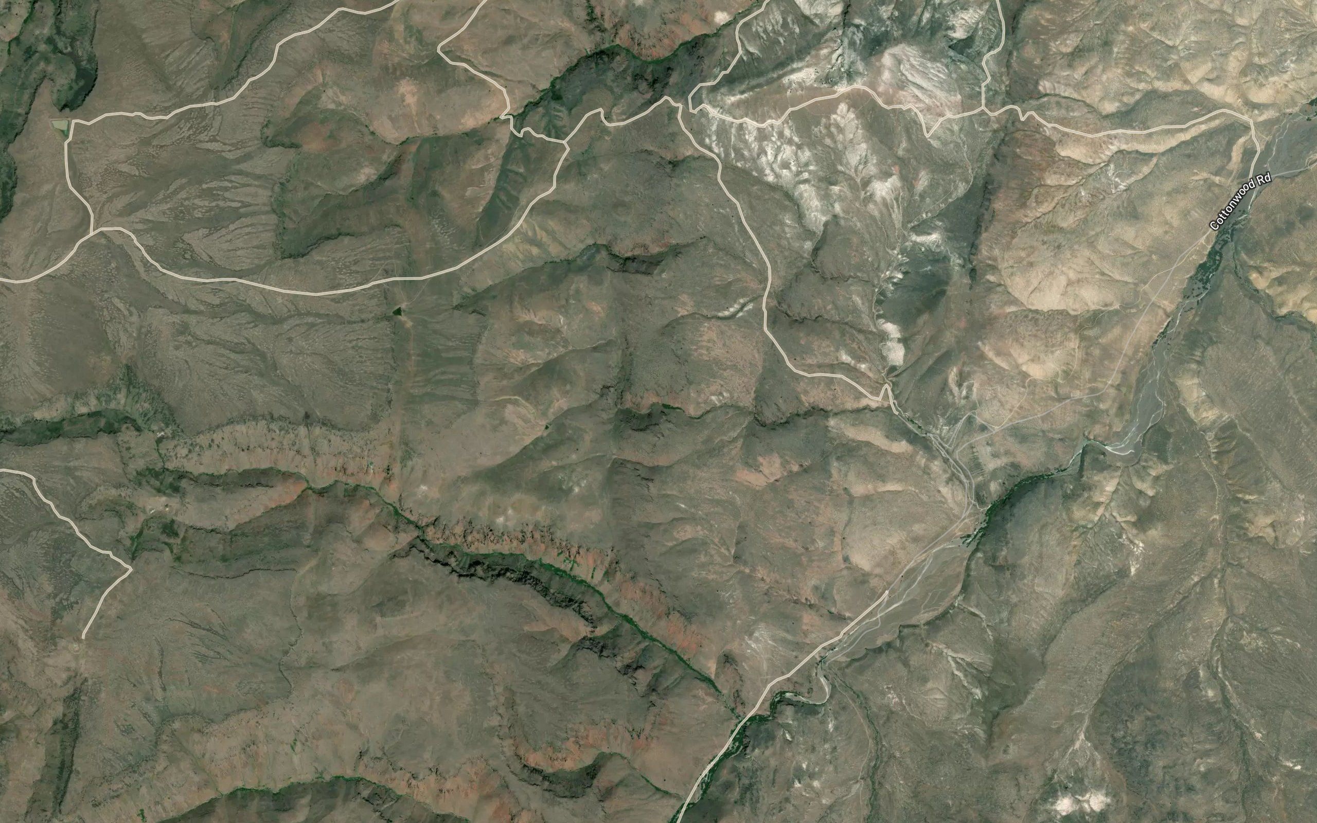 Cow Camp Spring