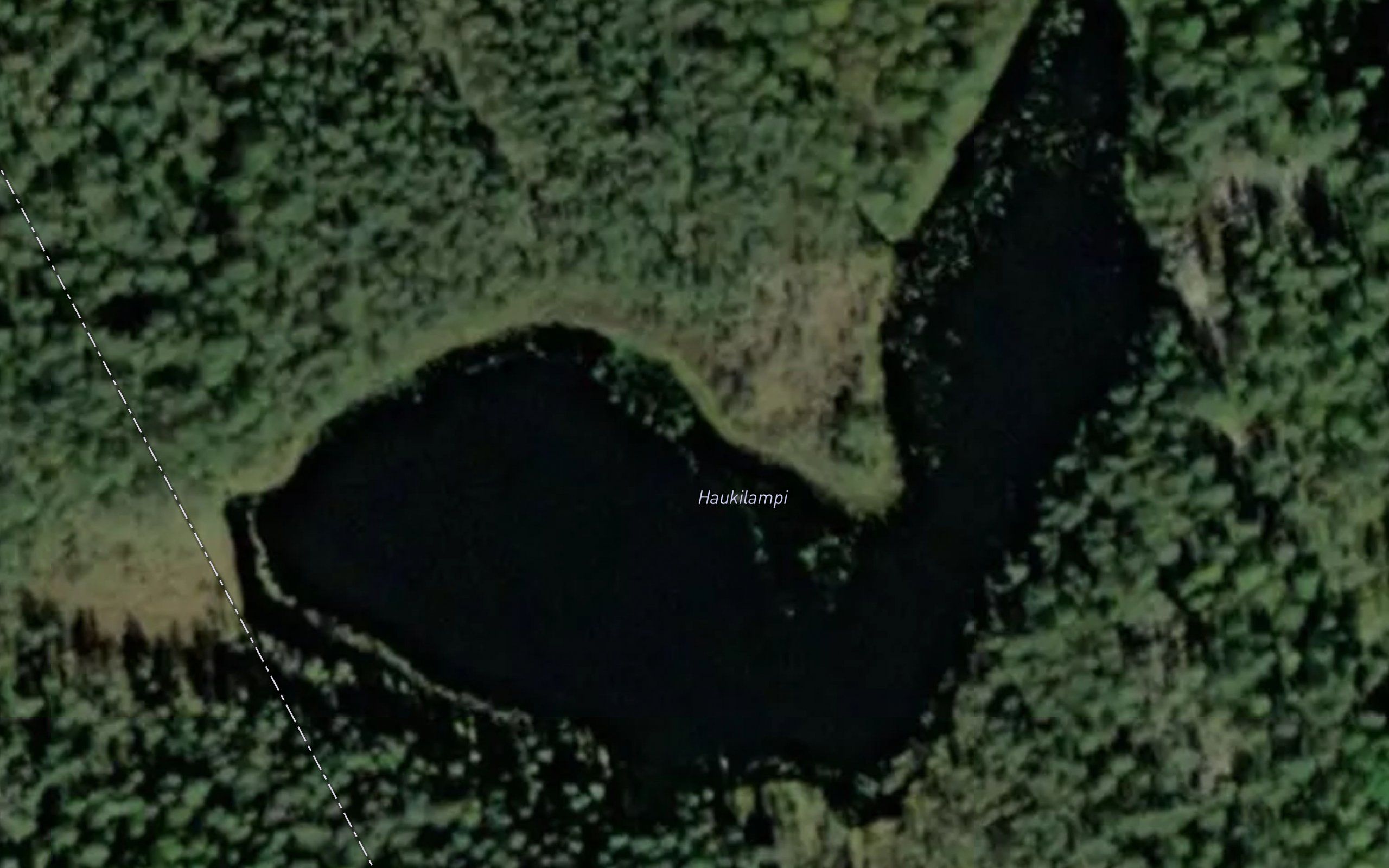 Haukilampi