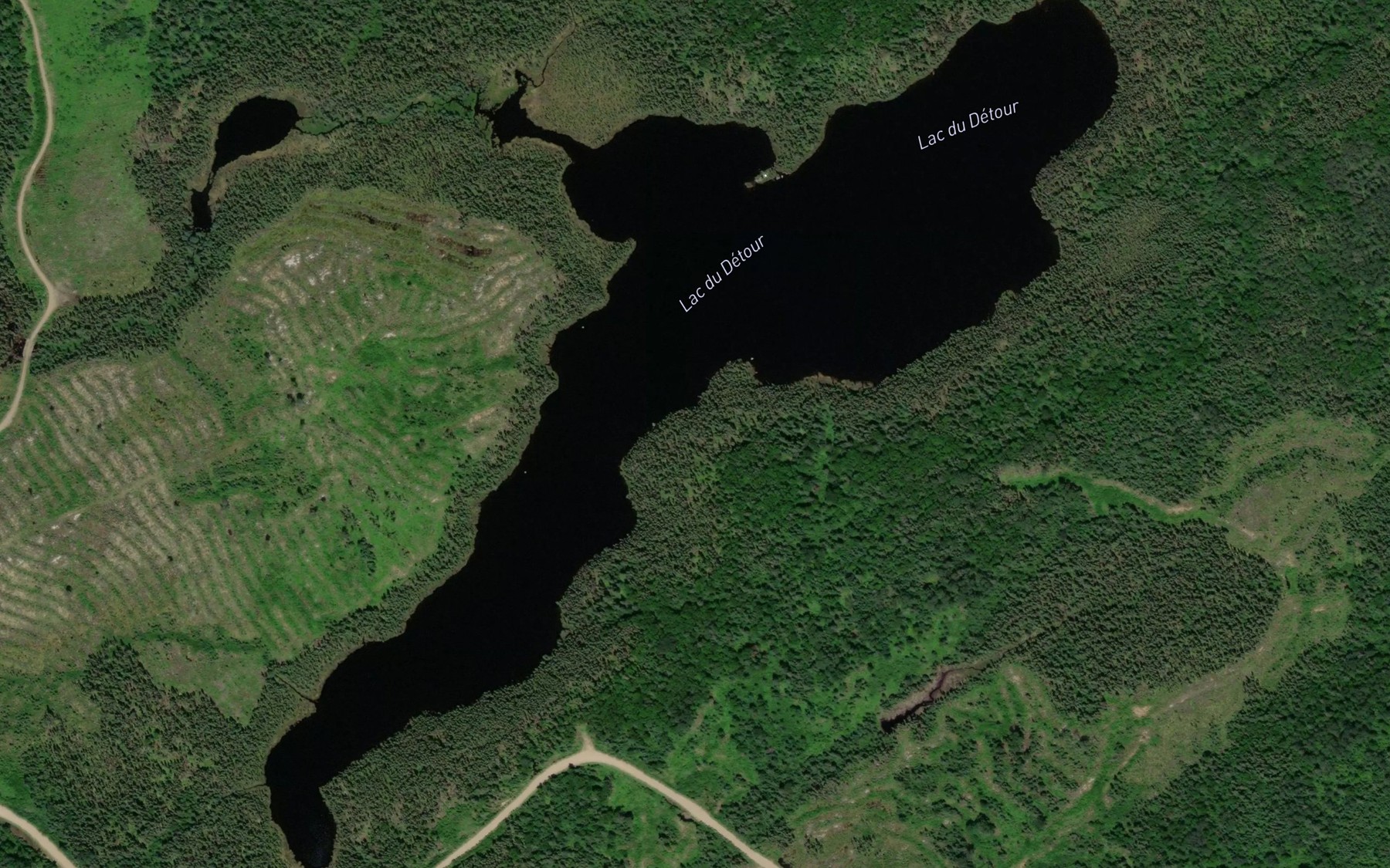 Satellite map of the Lac du Detour