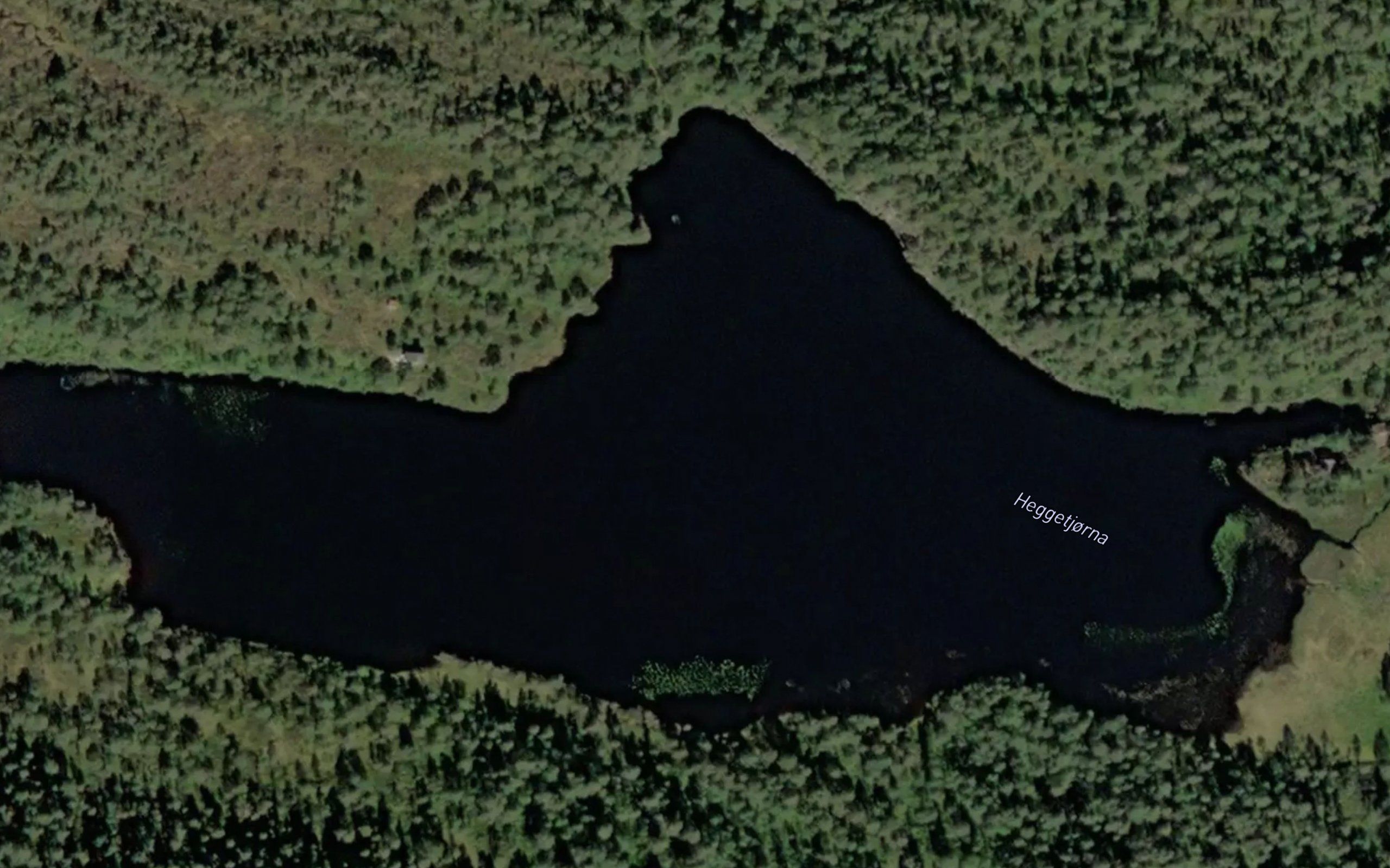 Heggetjorna