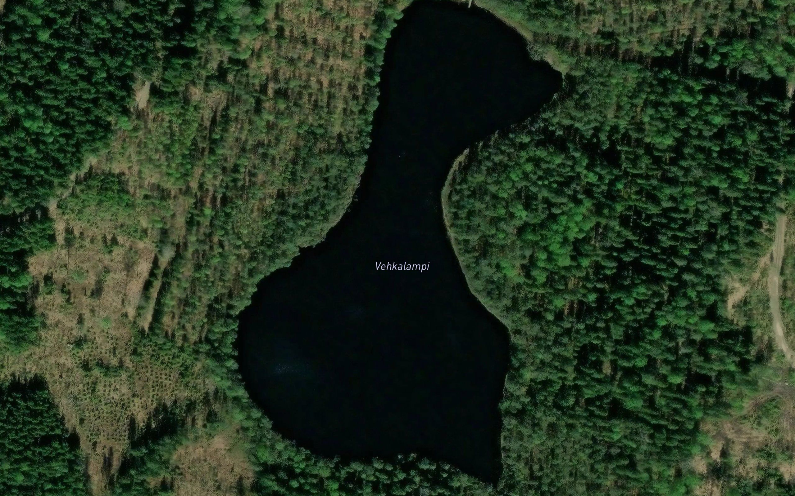 Vehkalampi