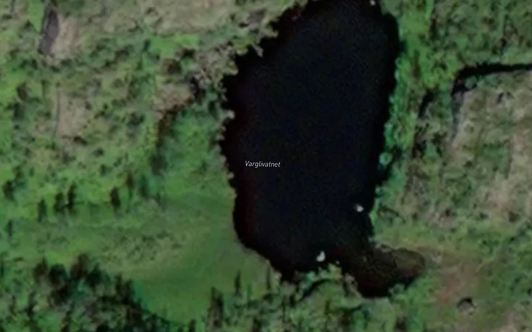 Satellite map of the Varglivatnet