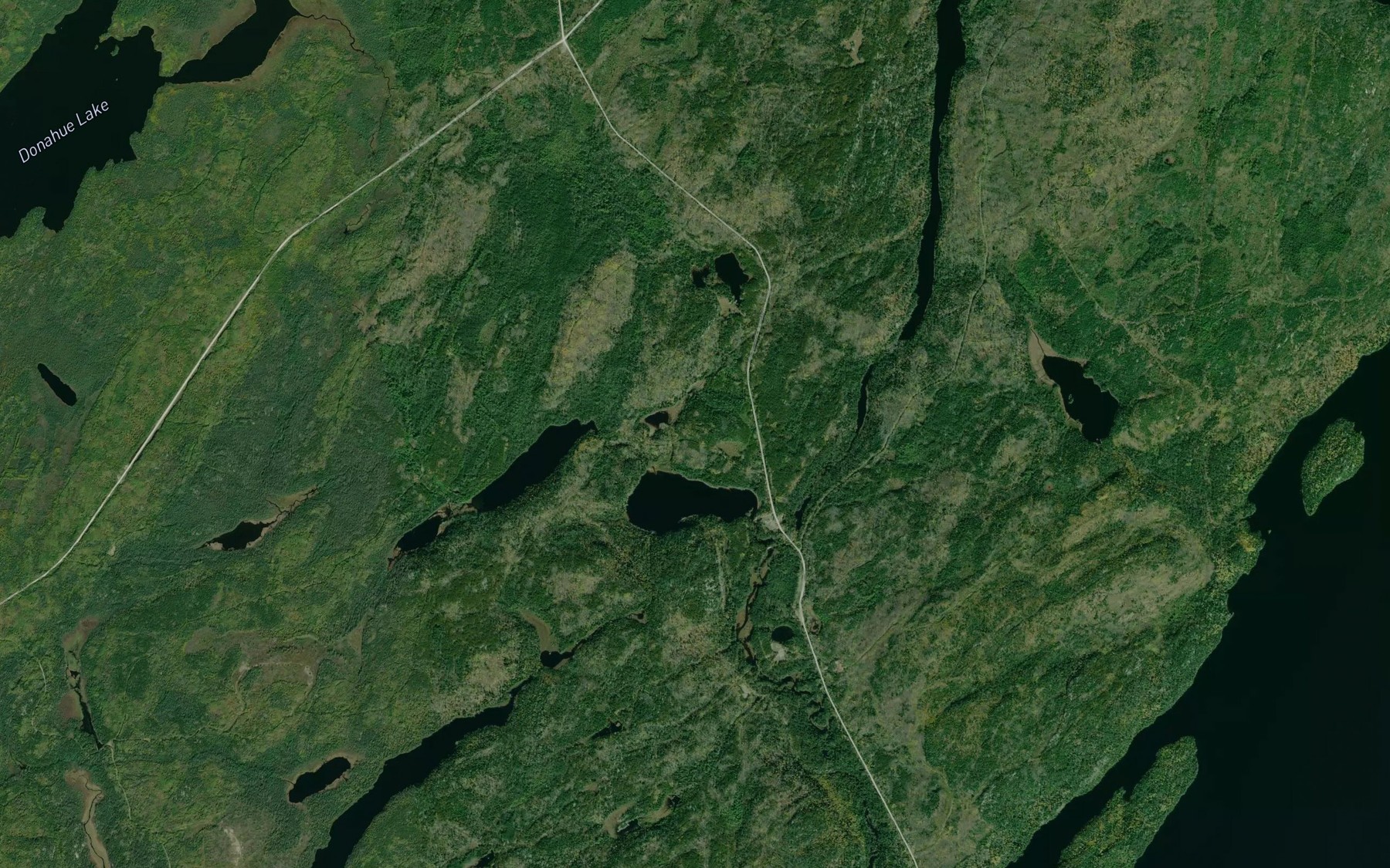 Satellite map of the Donahue Creek