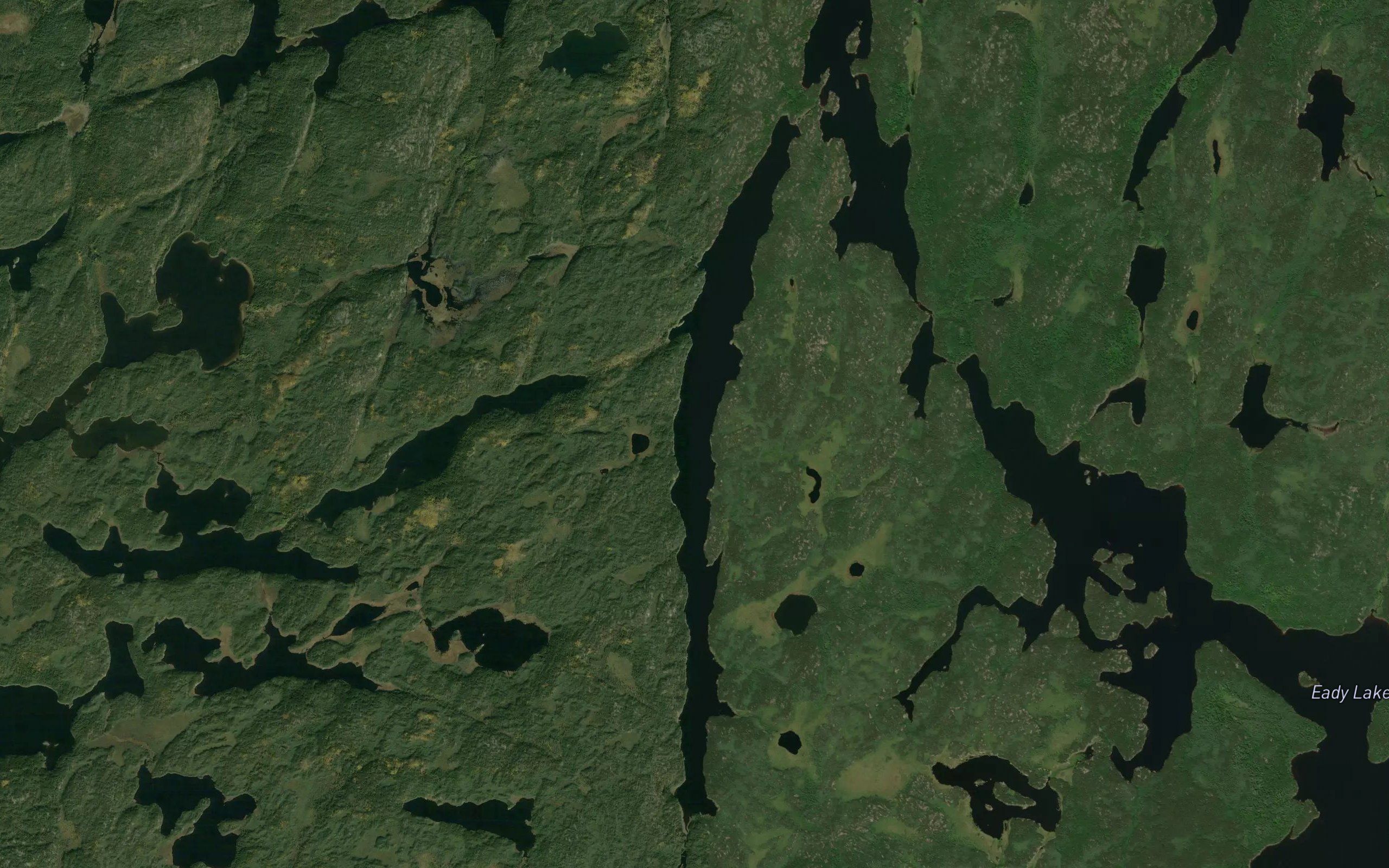 Stringbean Lake