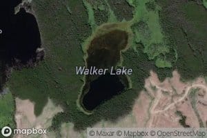 Walker Lake