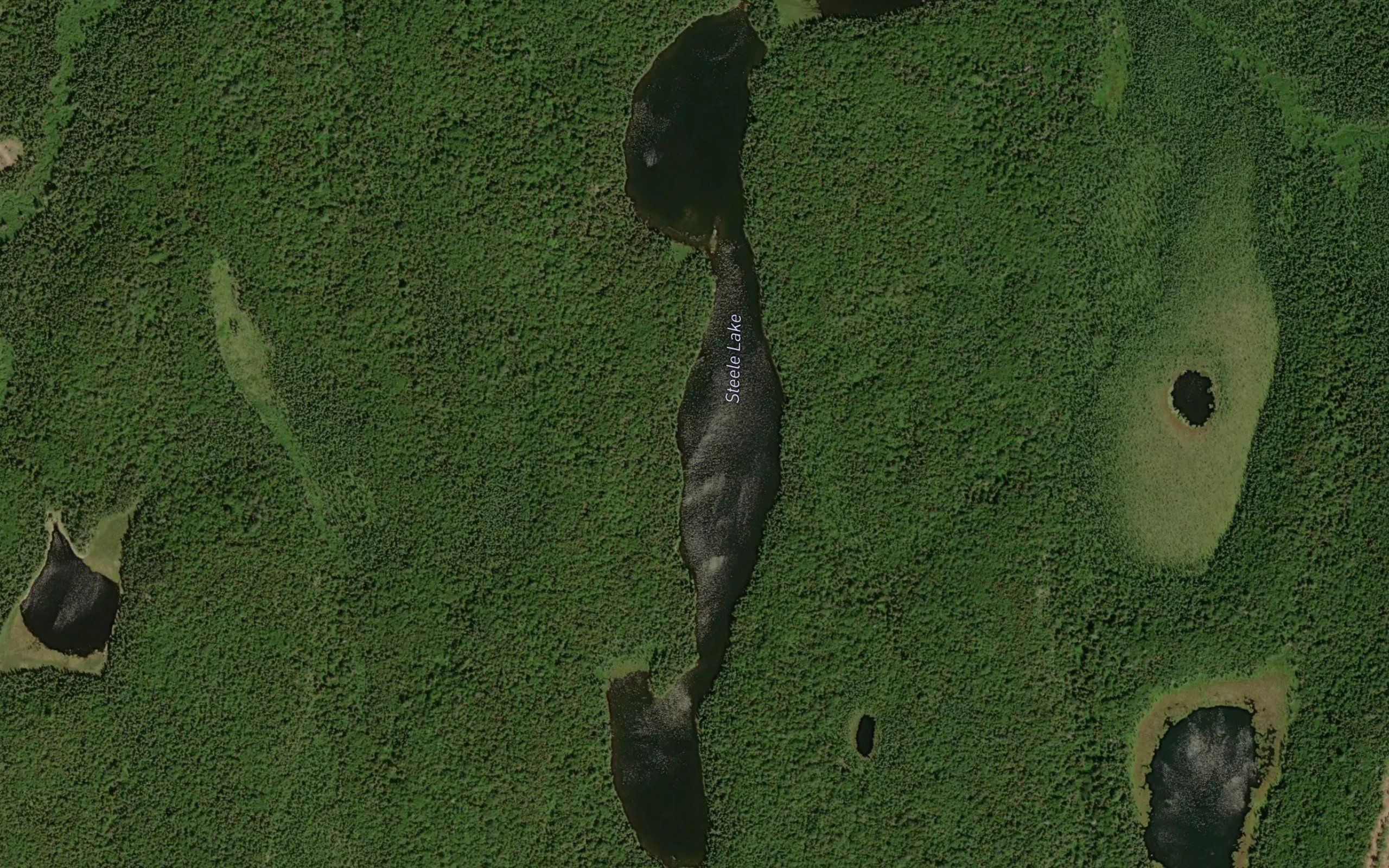 Steele Lake