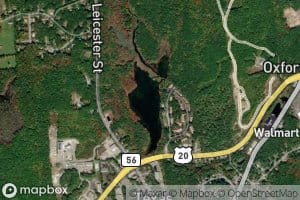 Texas Pond