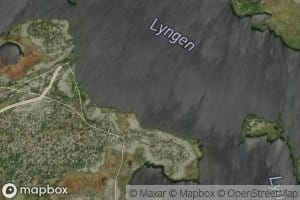 Lyngen