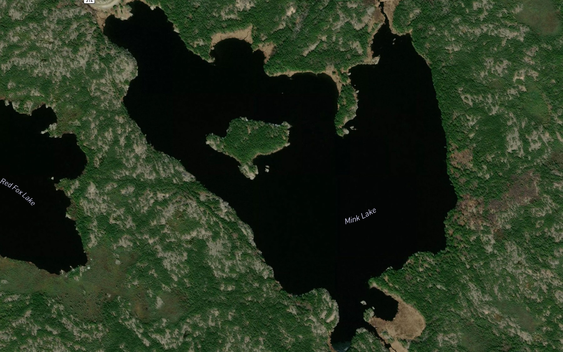 Satellite map of the Mink Lake