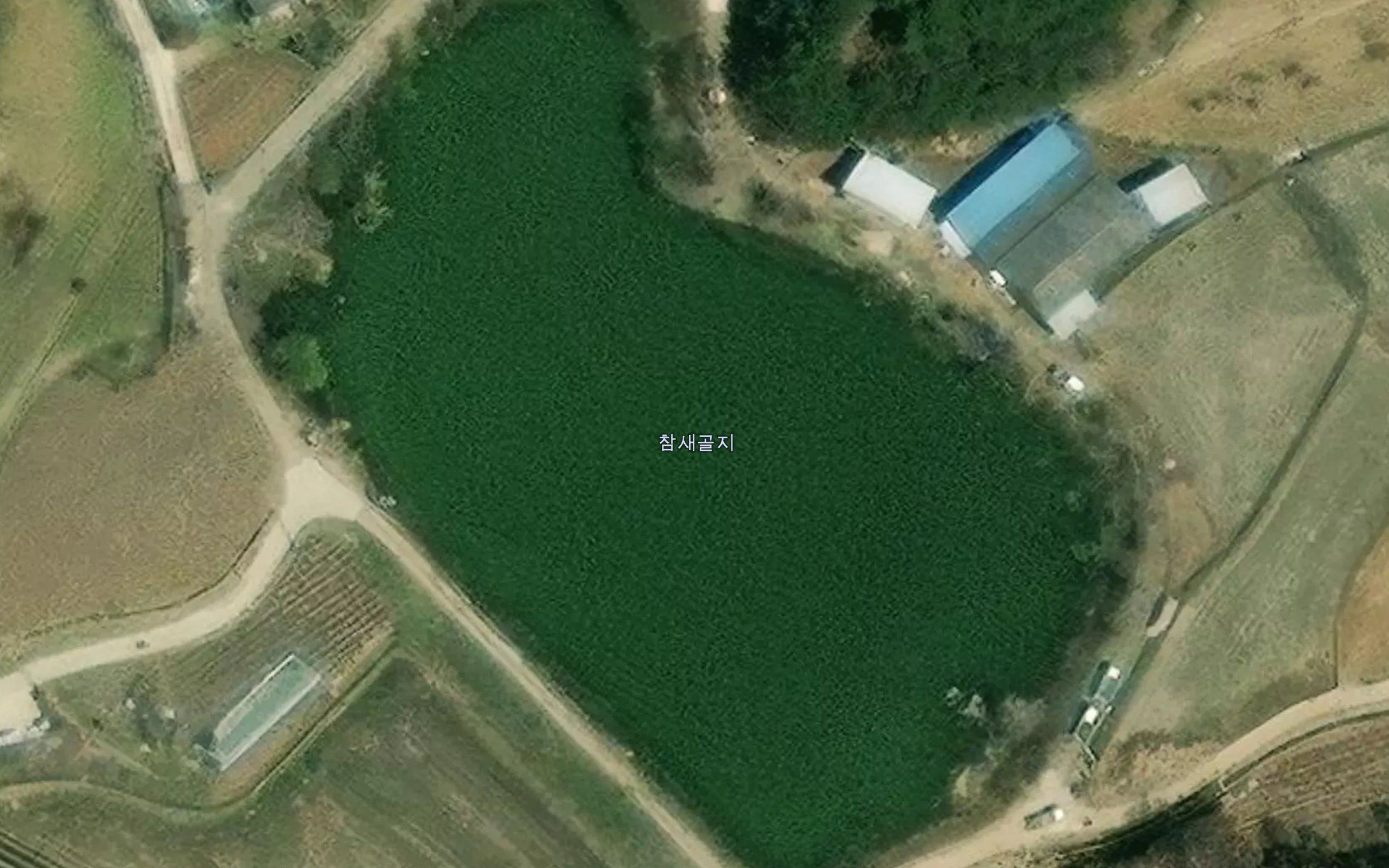 Chamsaegolmot