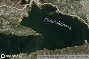 Fiskeloktjonne