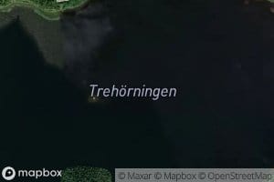 Trehoerningen