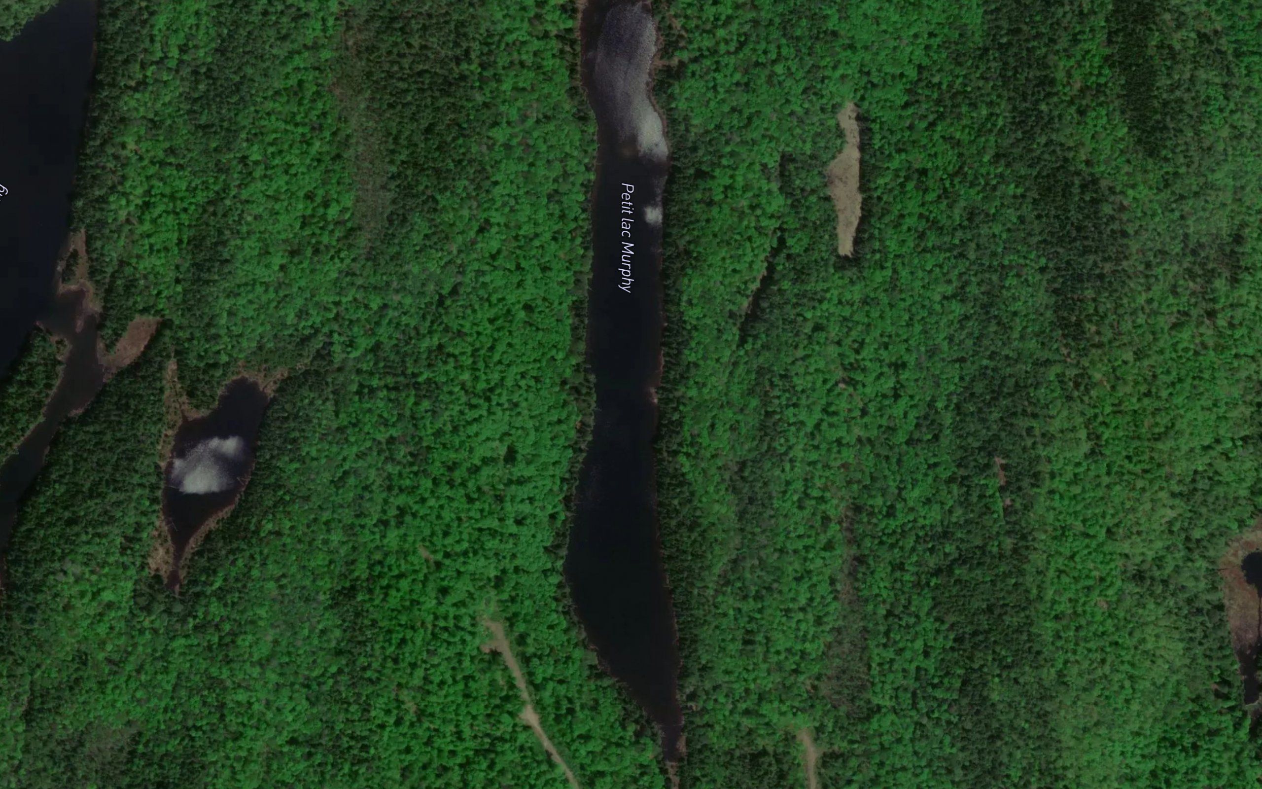 Petit lac Murphy