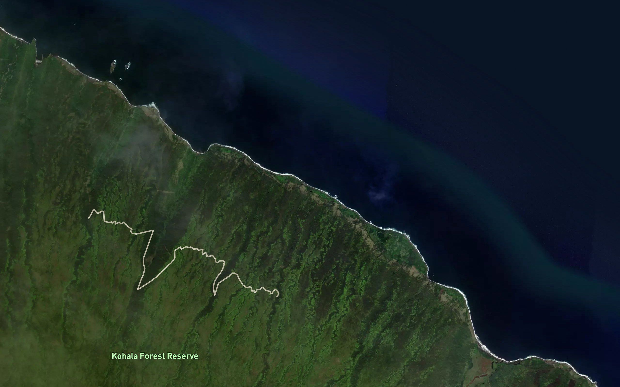 Waikaloa Stream