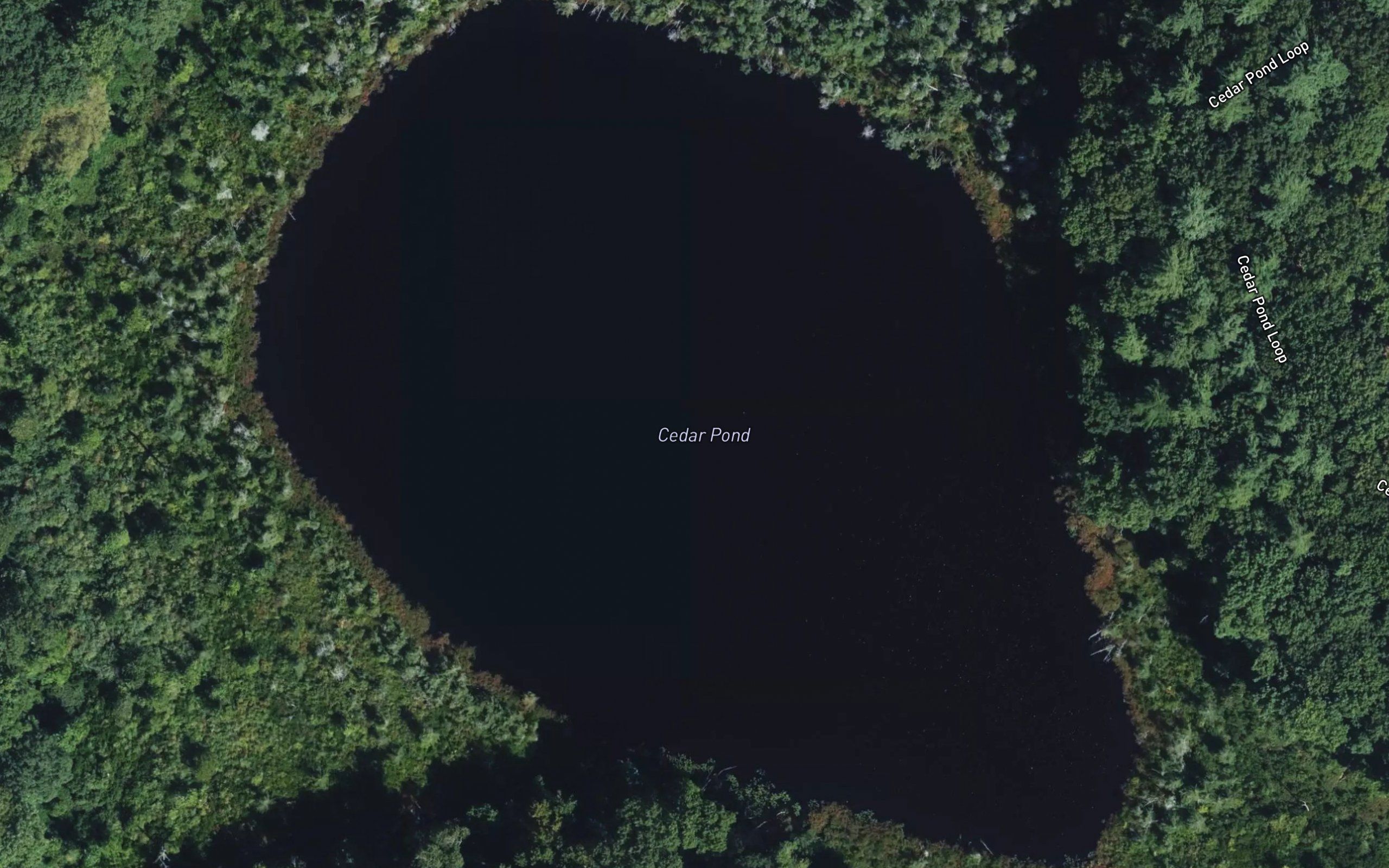 Cedar Pond