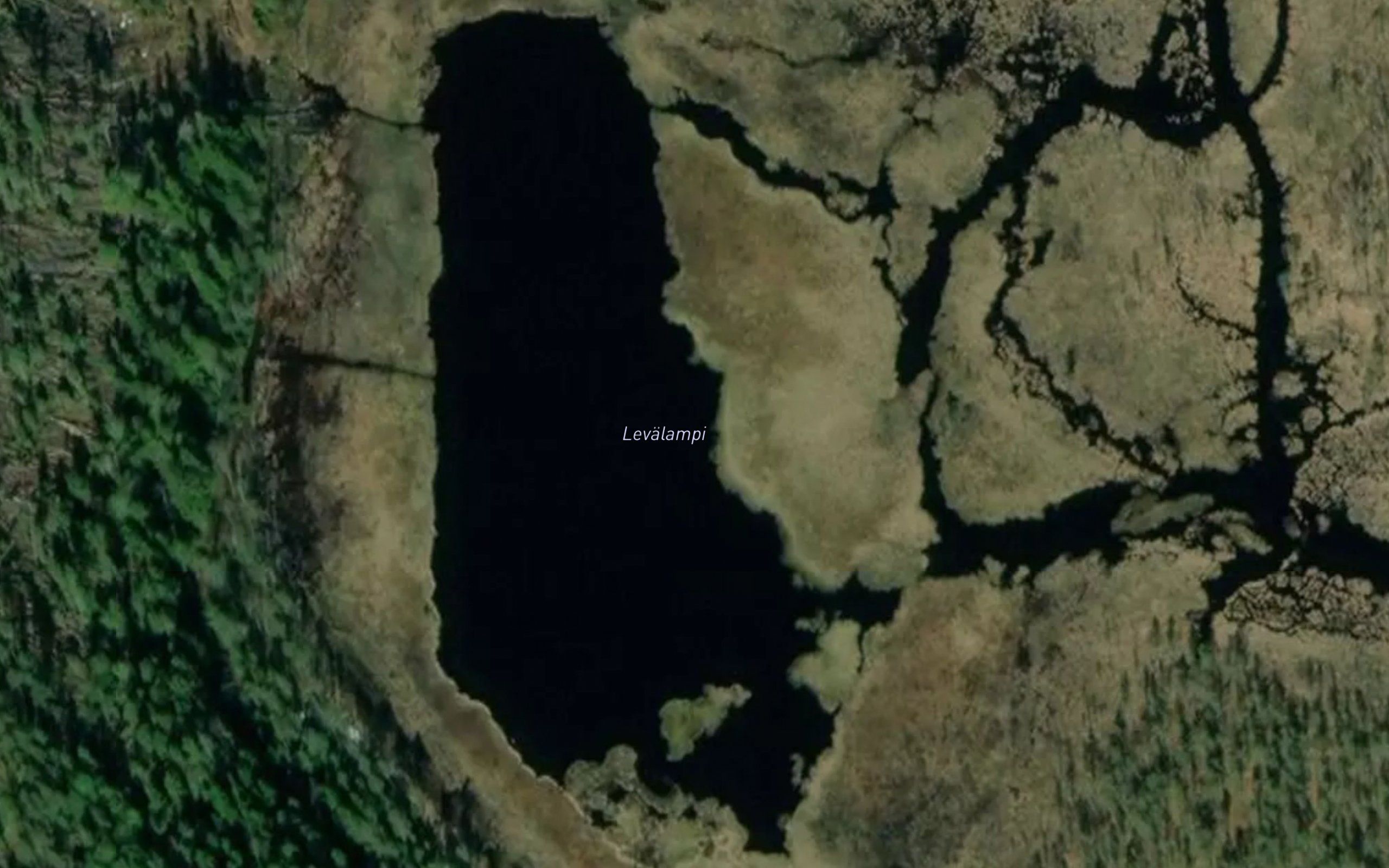 Levalampi