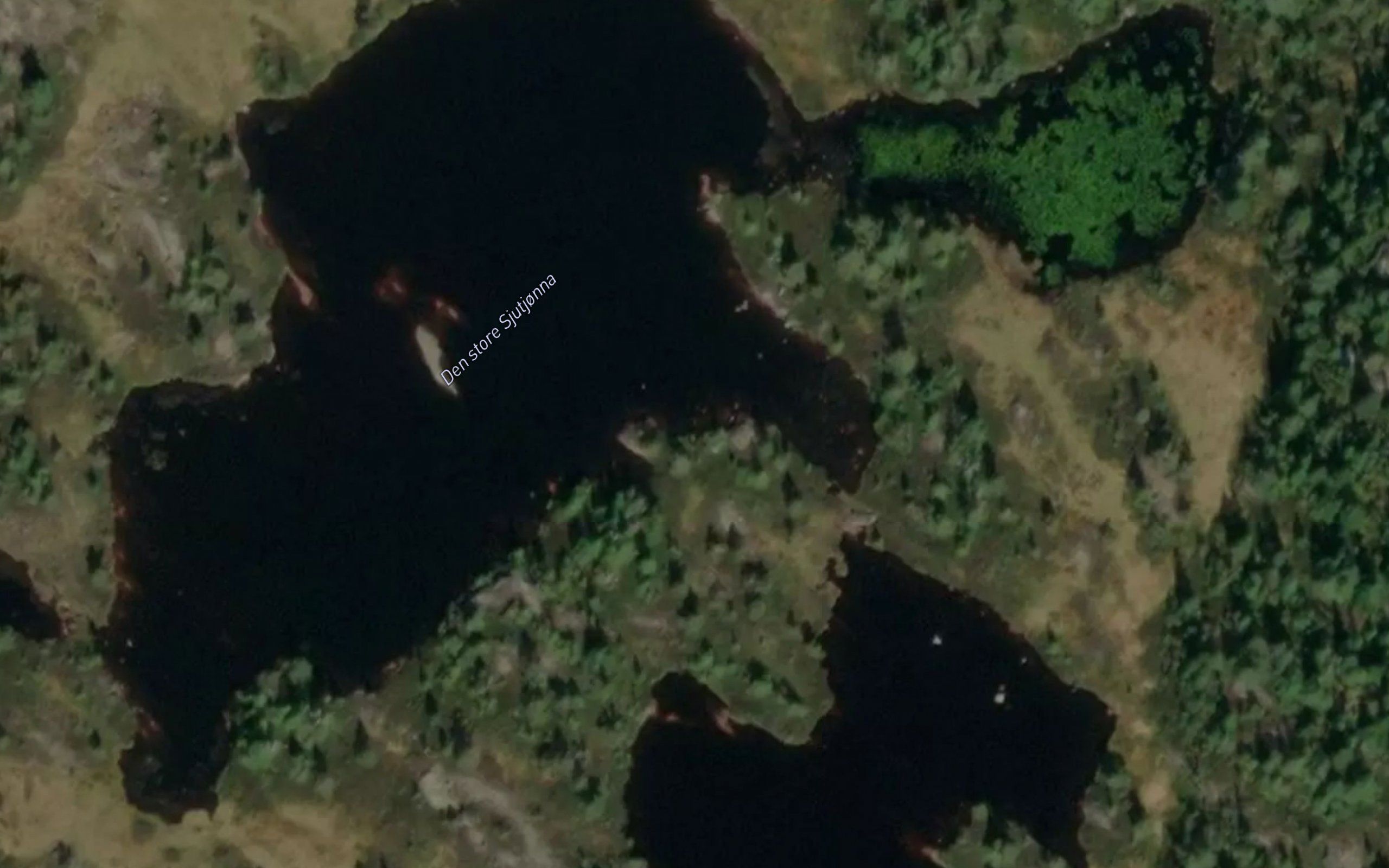 Den store Sjutjonna