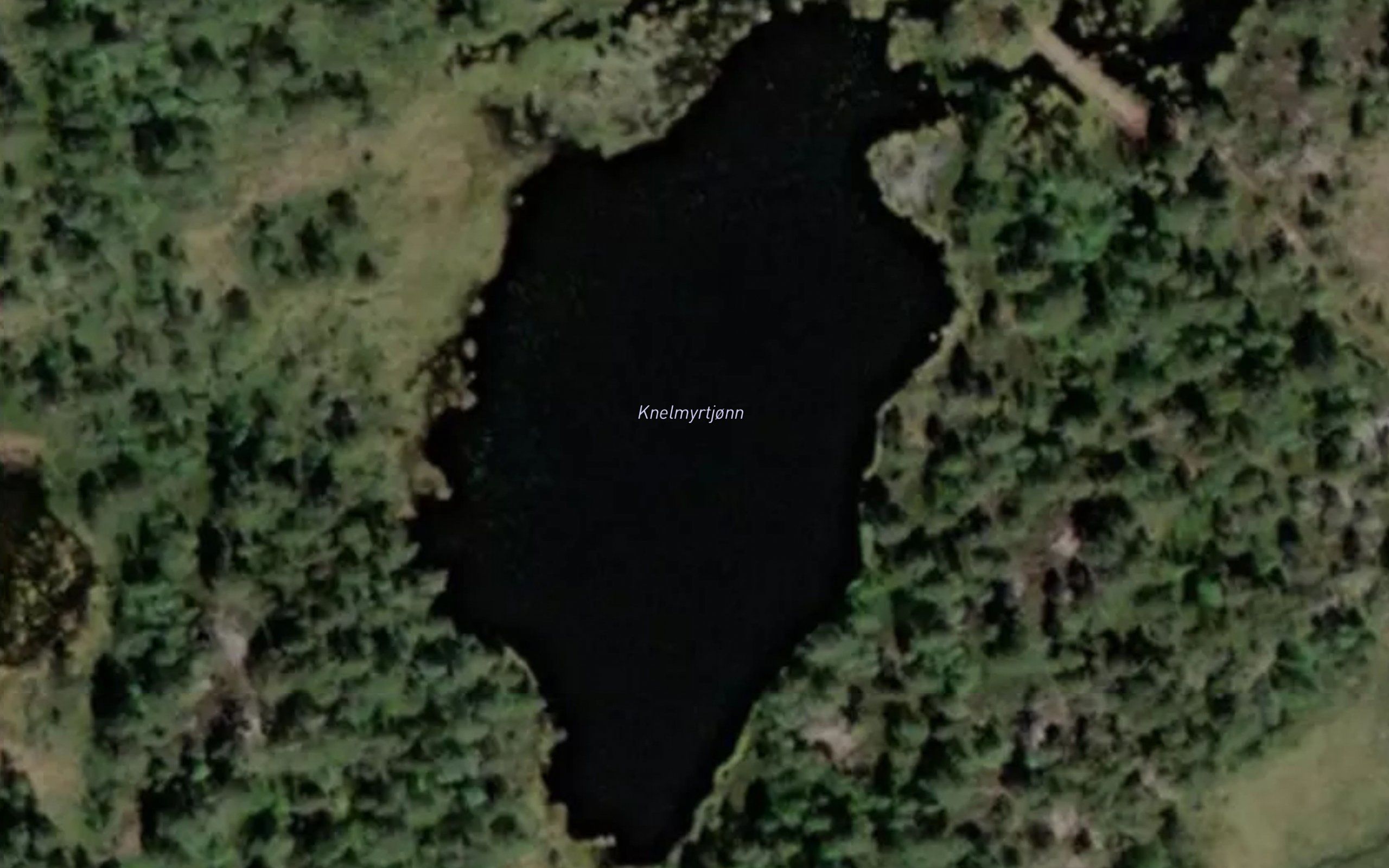 Knellmyrtjorna