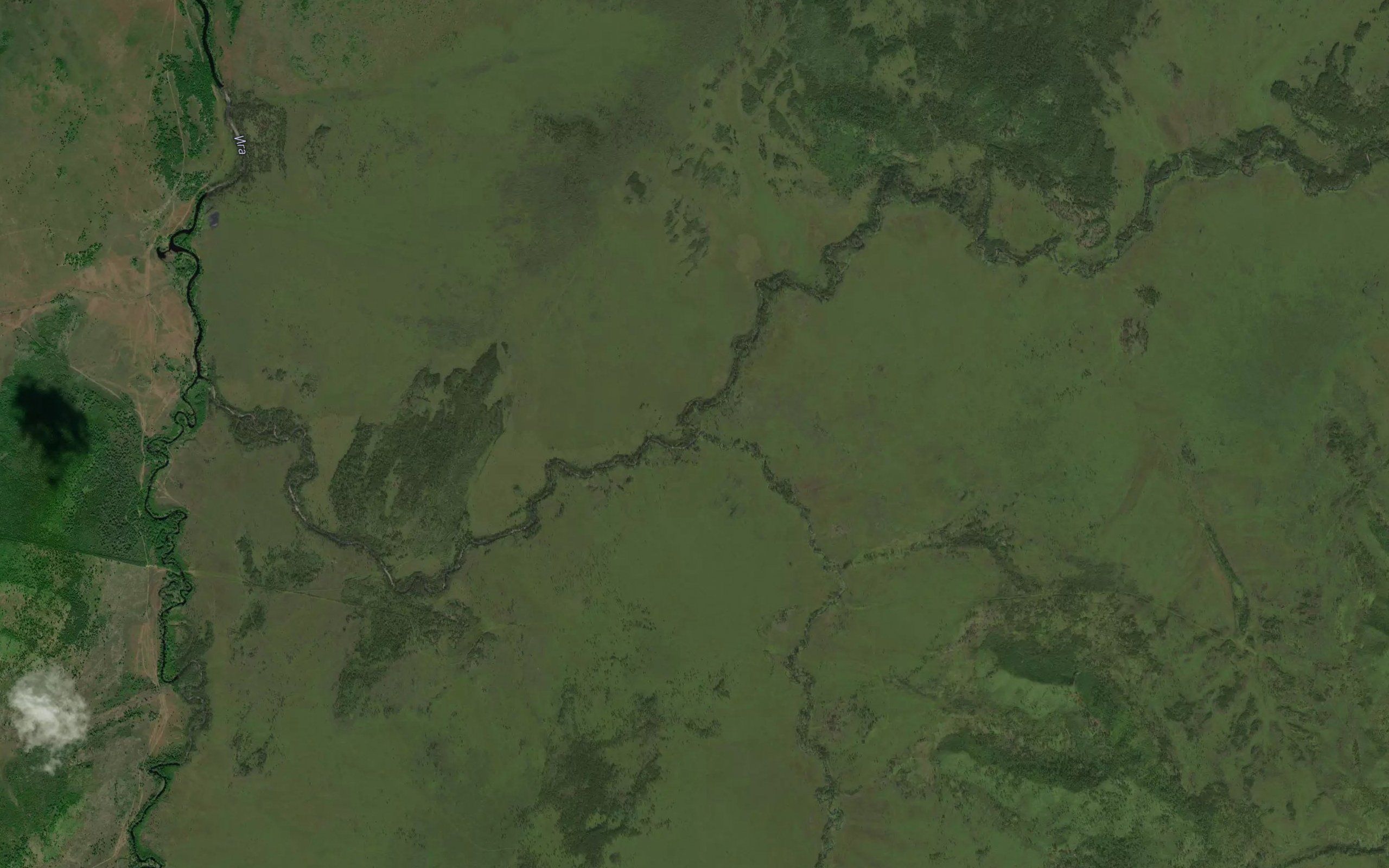 Kuvaku